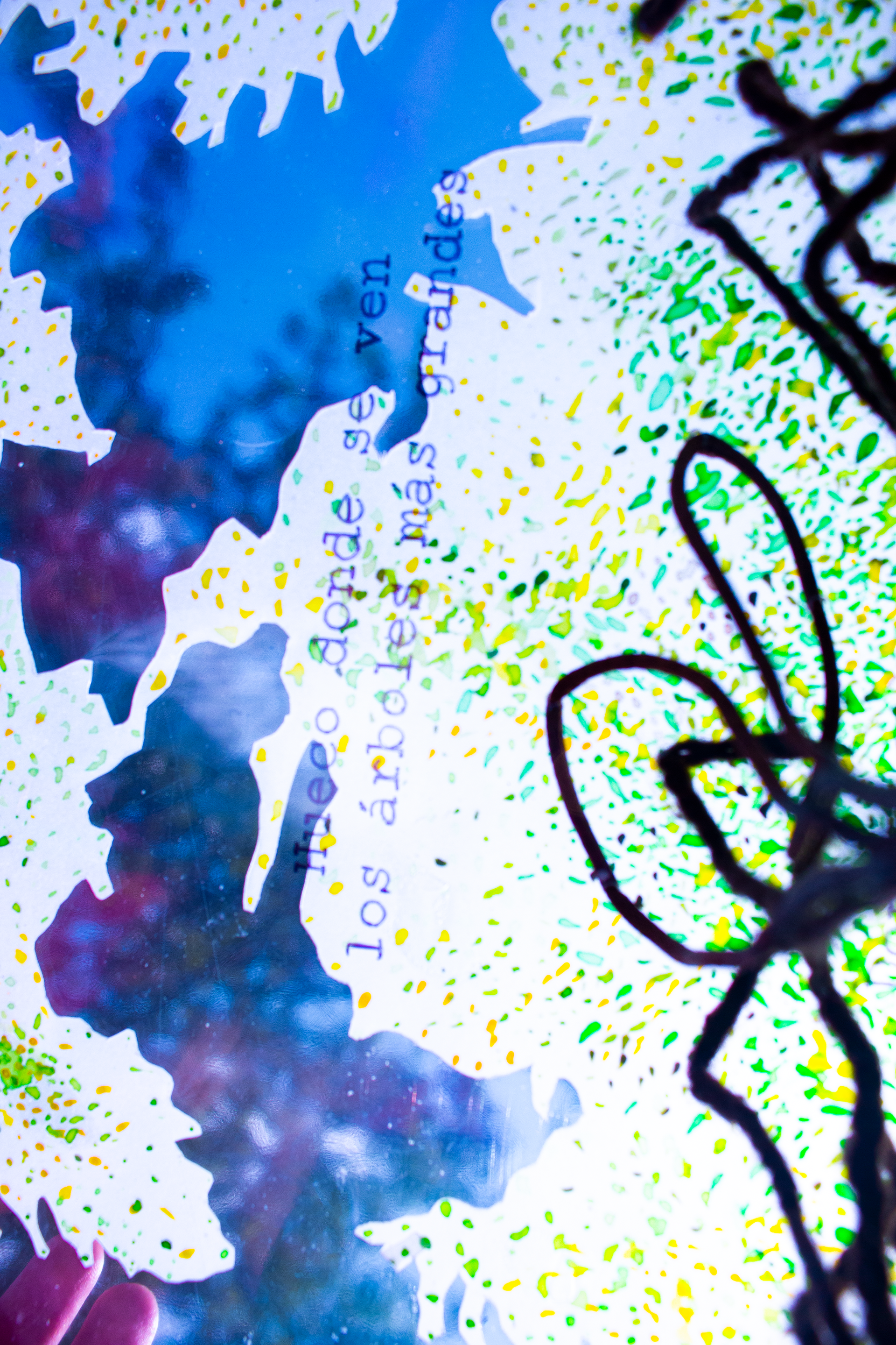 Detalle | Detail