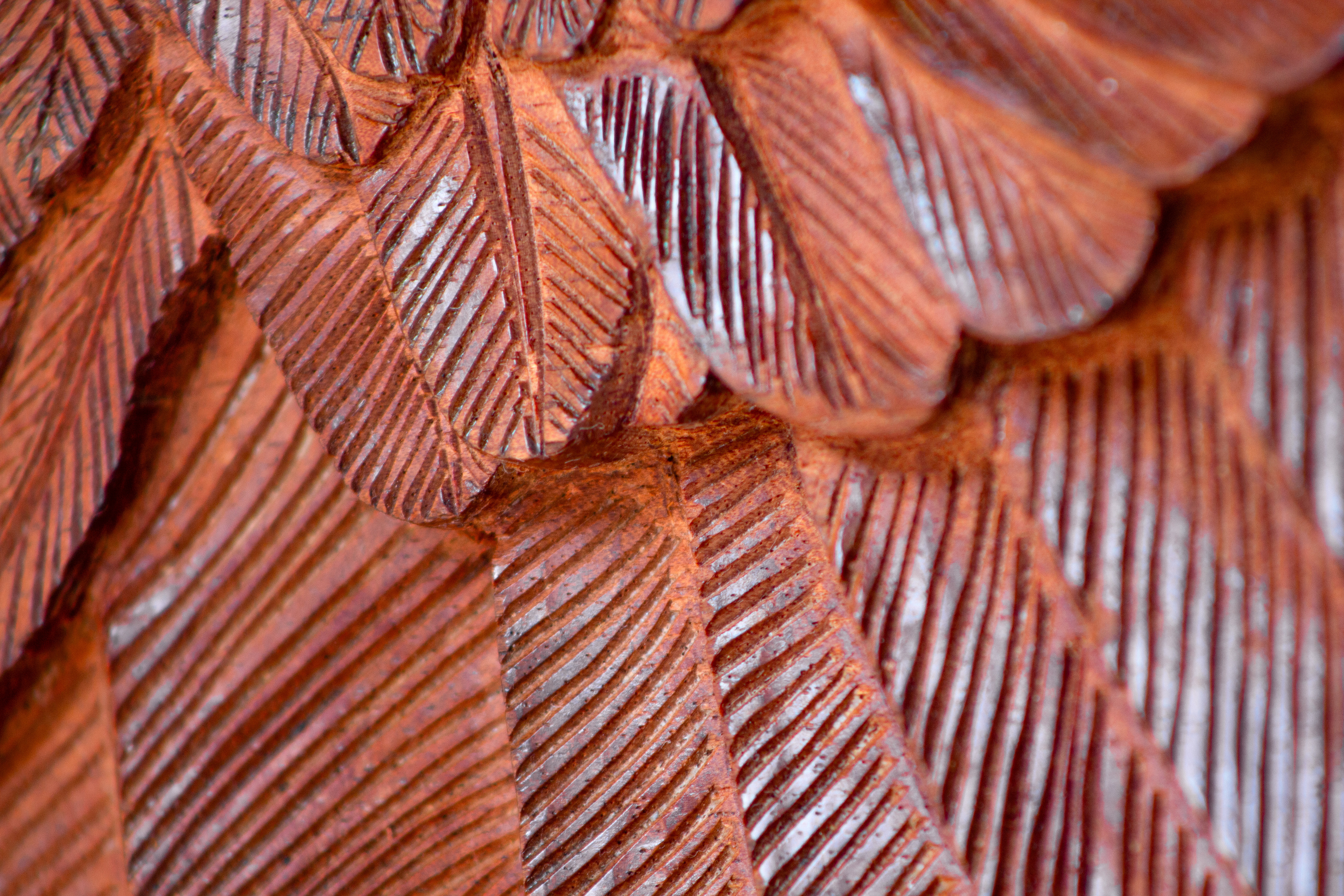 Detalle | Detail