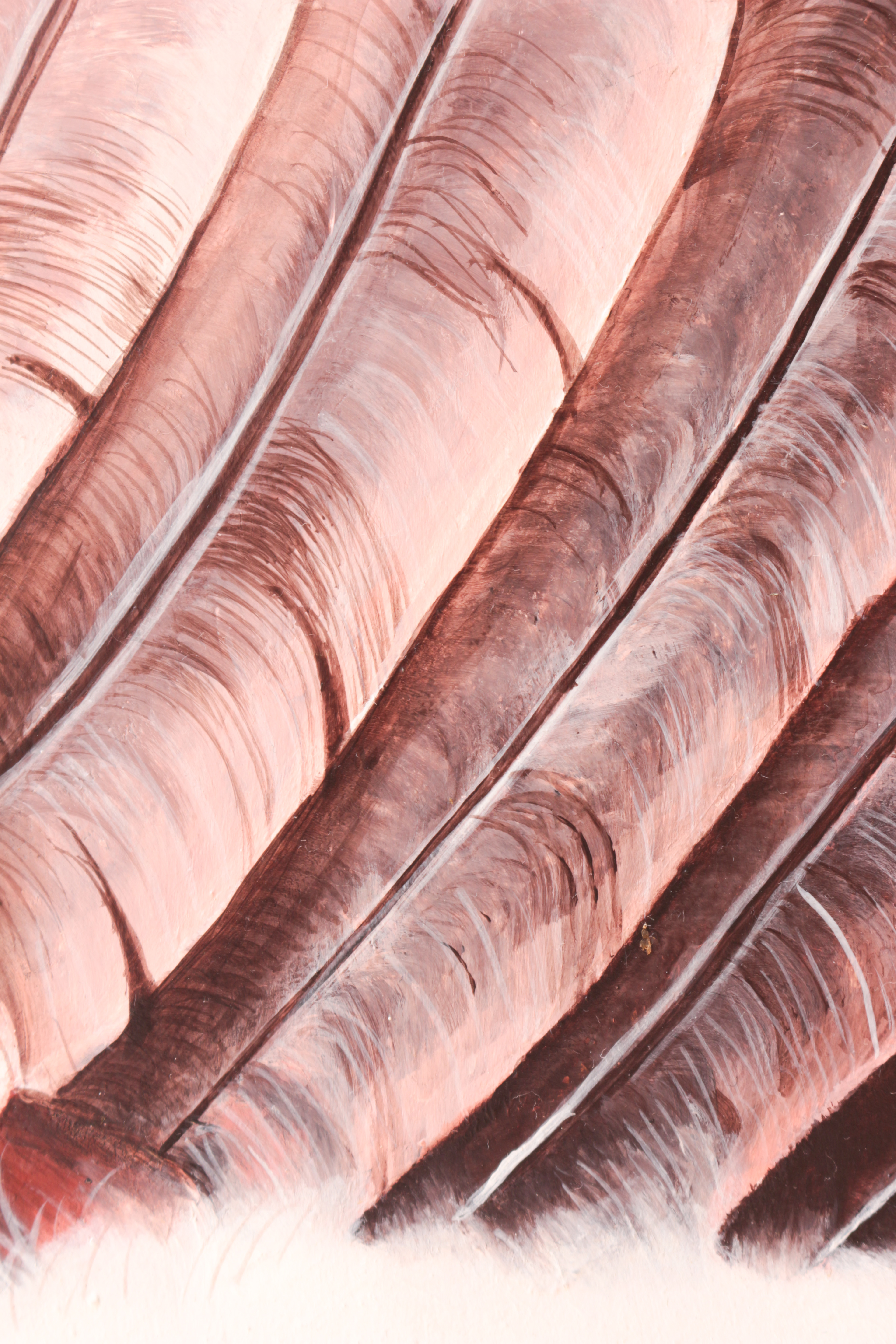 Detalle | Detail