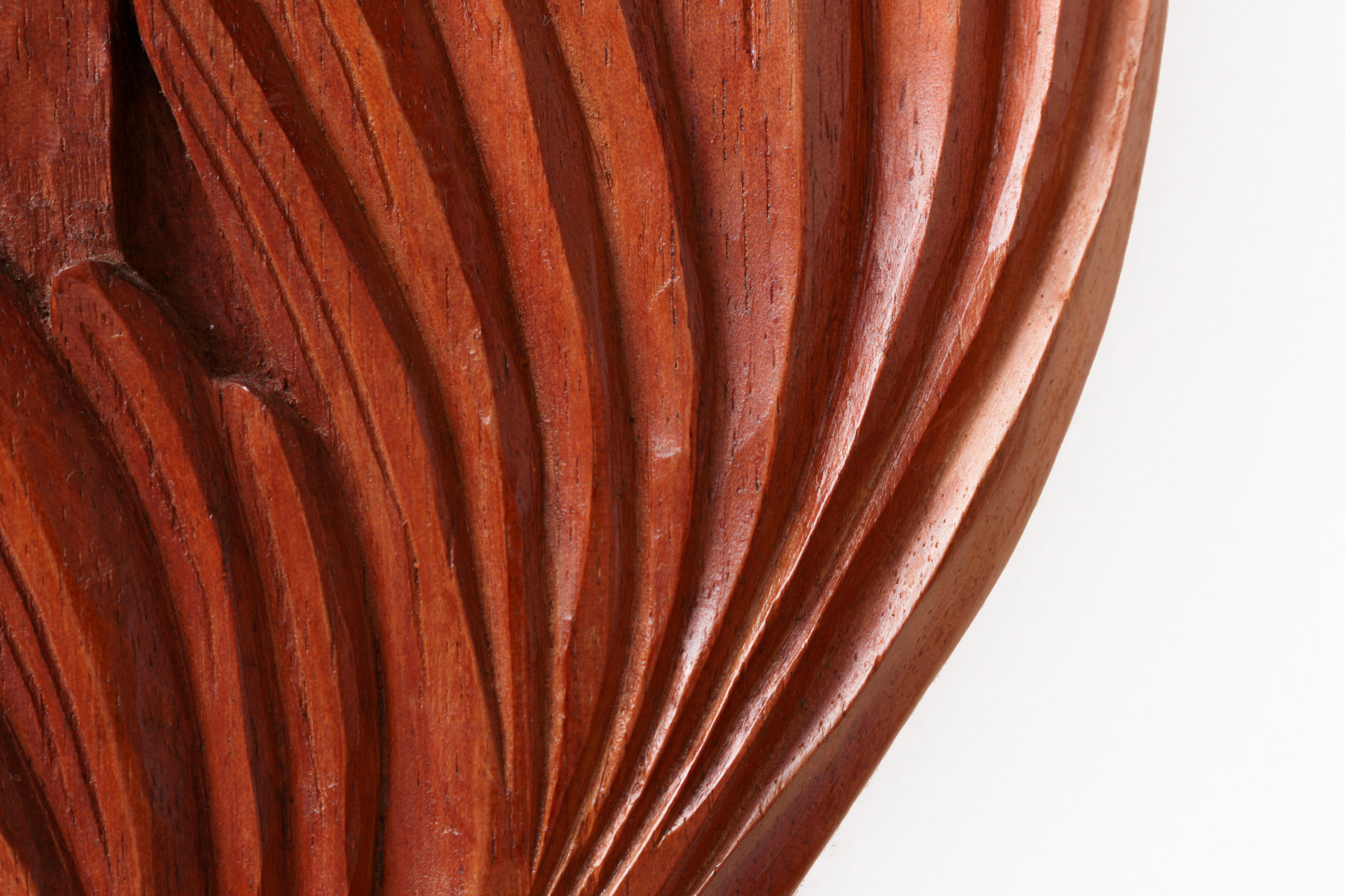 Detalle | Detail
