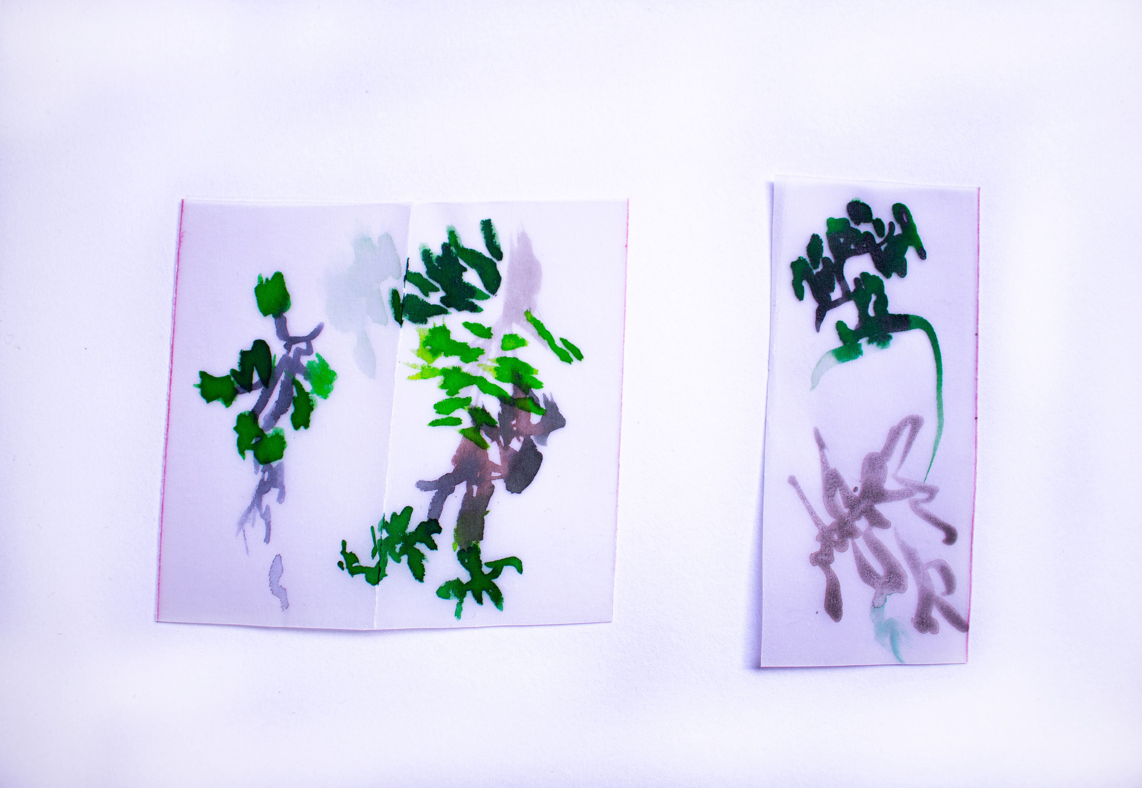 Iteraciones | Iterations