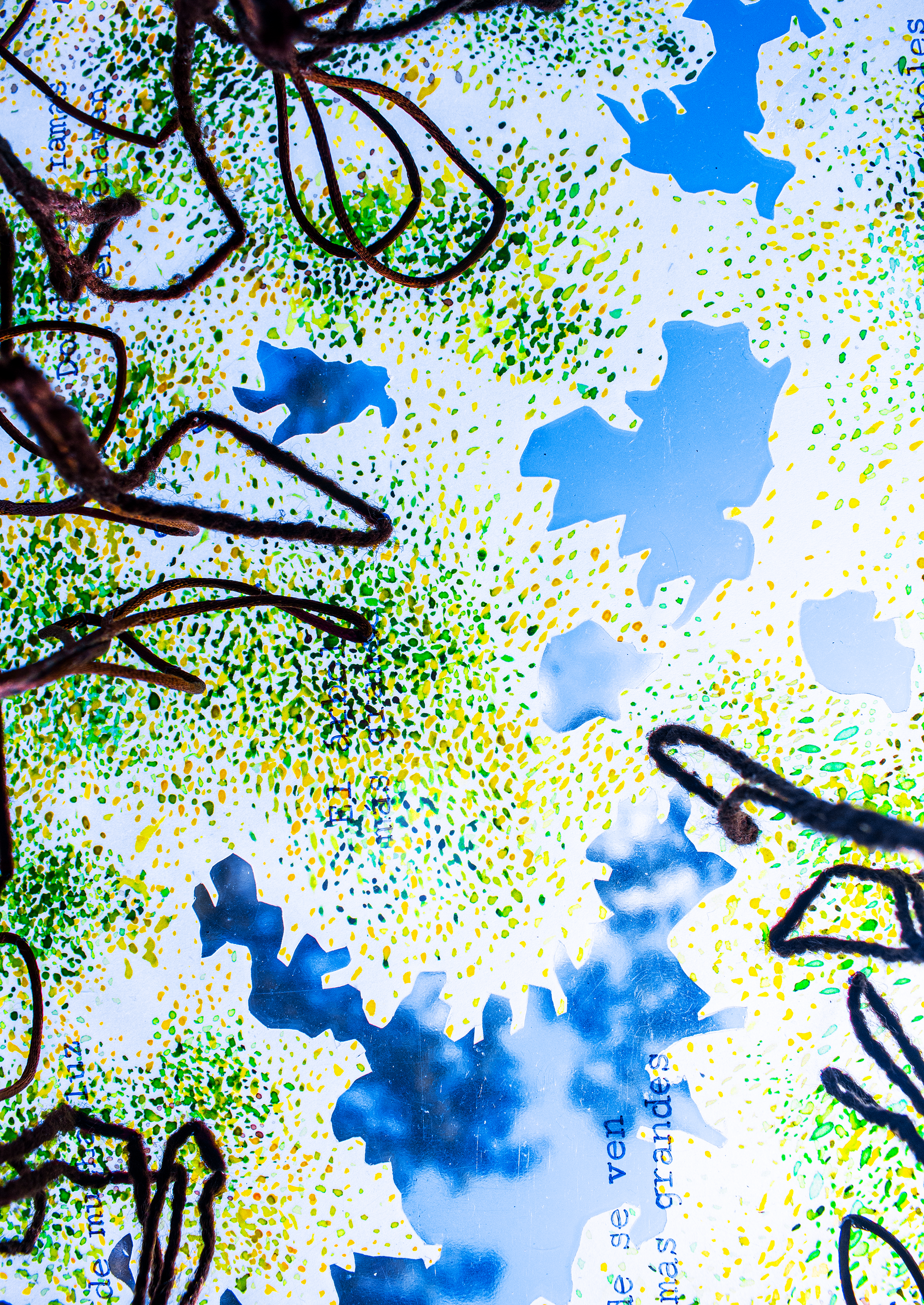 Detalle | Detail