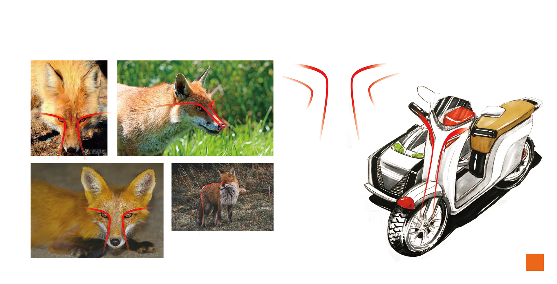 Fox Curve