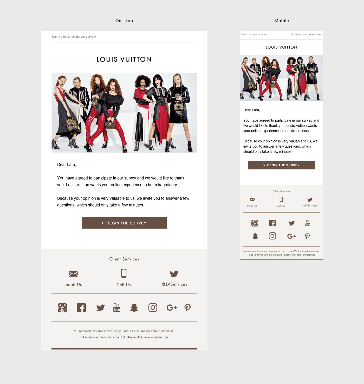 George Gozum - Louis Vuitton (Paris) Responsive Email Templates