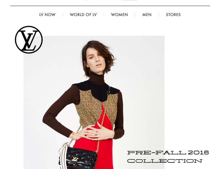 George Gozum - Louis Vuitton (Paris) Responsive Email Templates