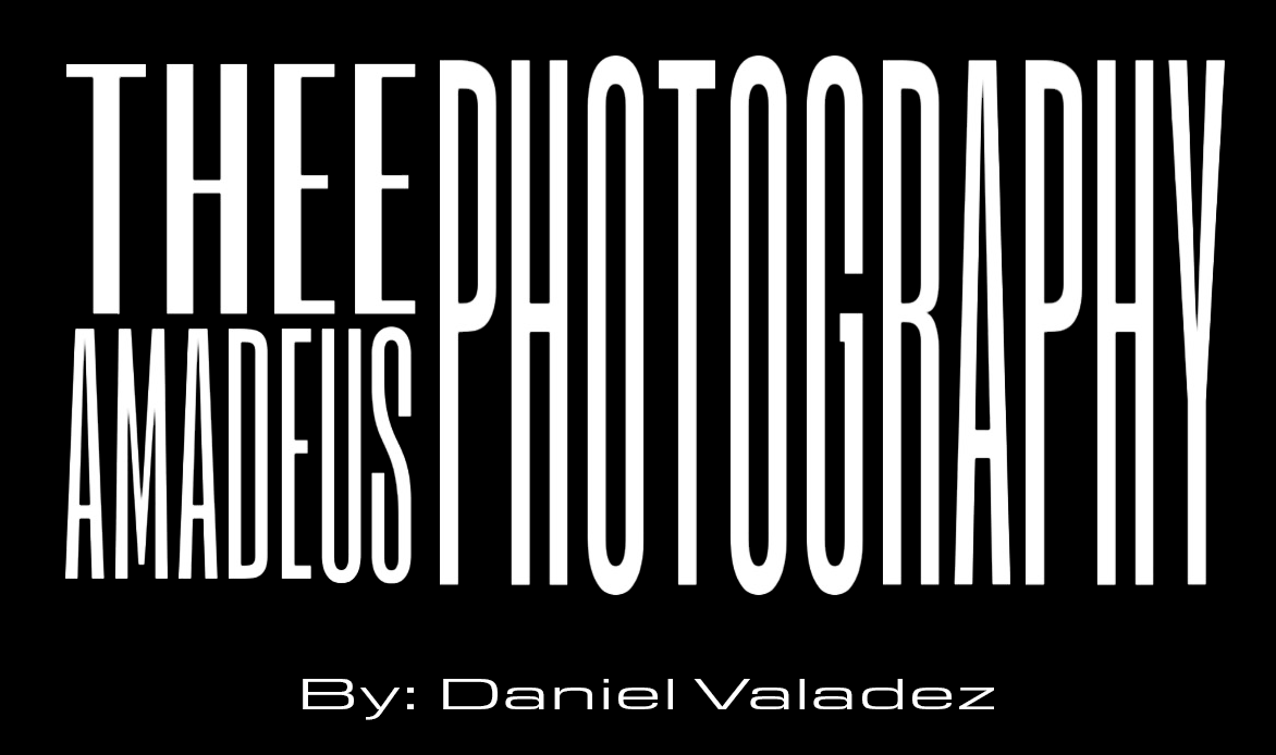 Thee Amadeus Photography