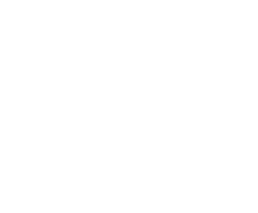 Marcelo Vaz