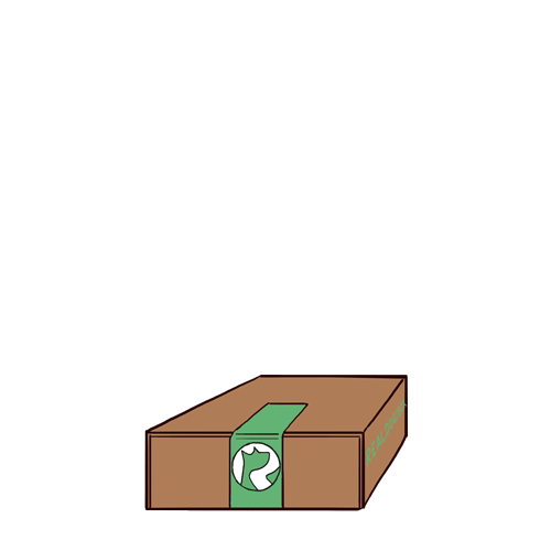 Real Dog Box Bounce