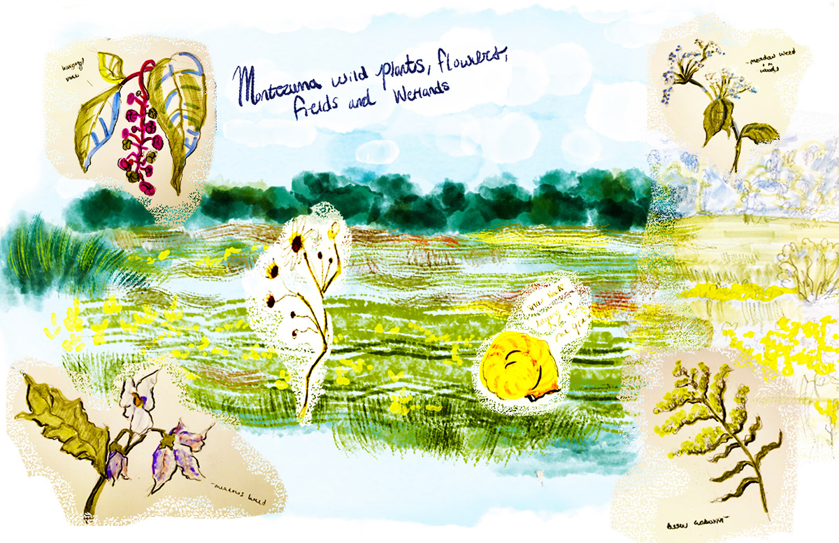 Field note Sketchbook Spread 1