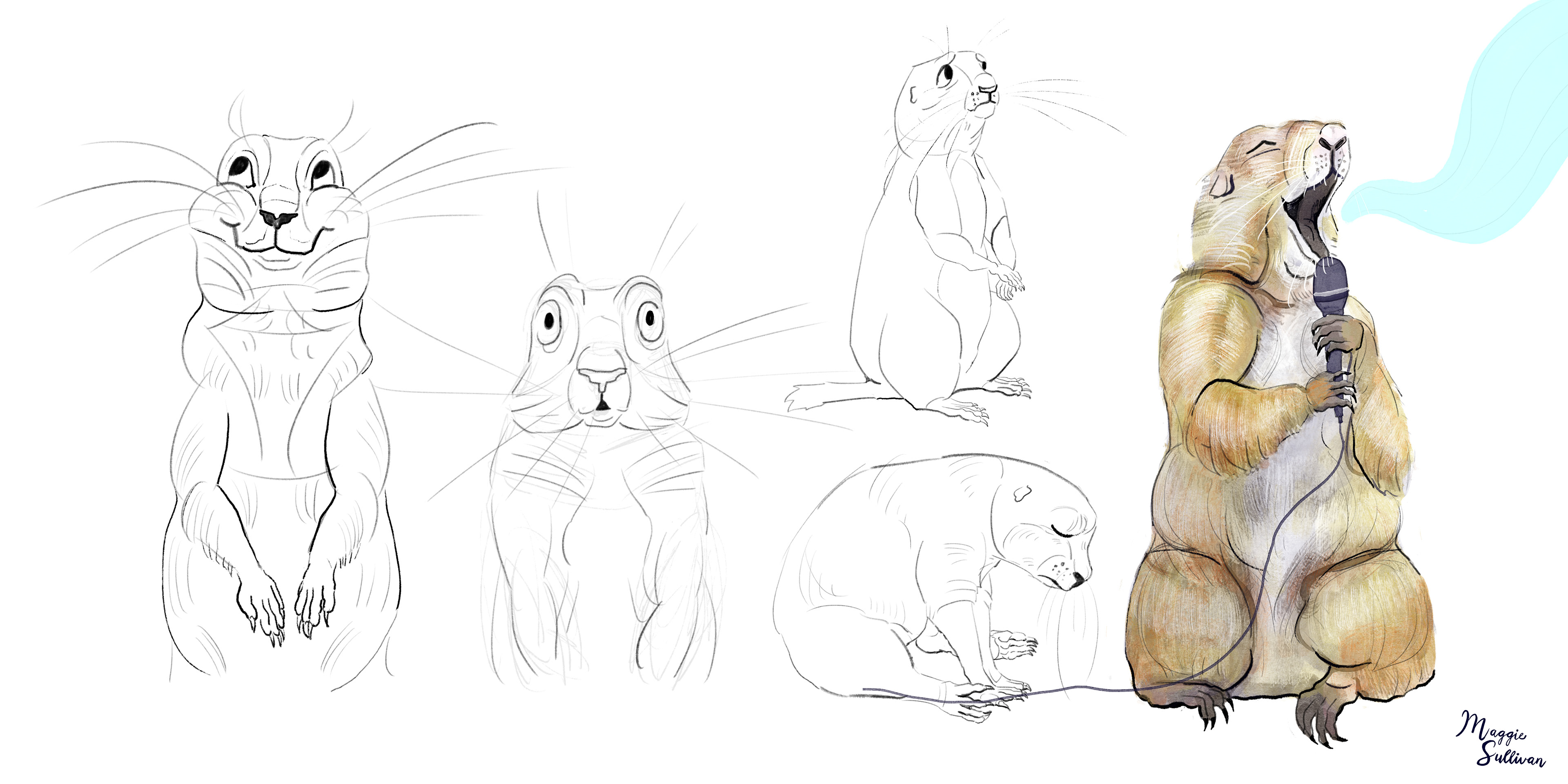 Character Design and Development: Petey the Prairie Dog