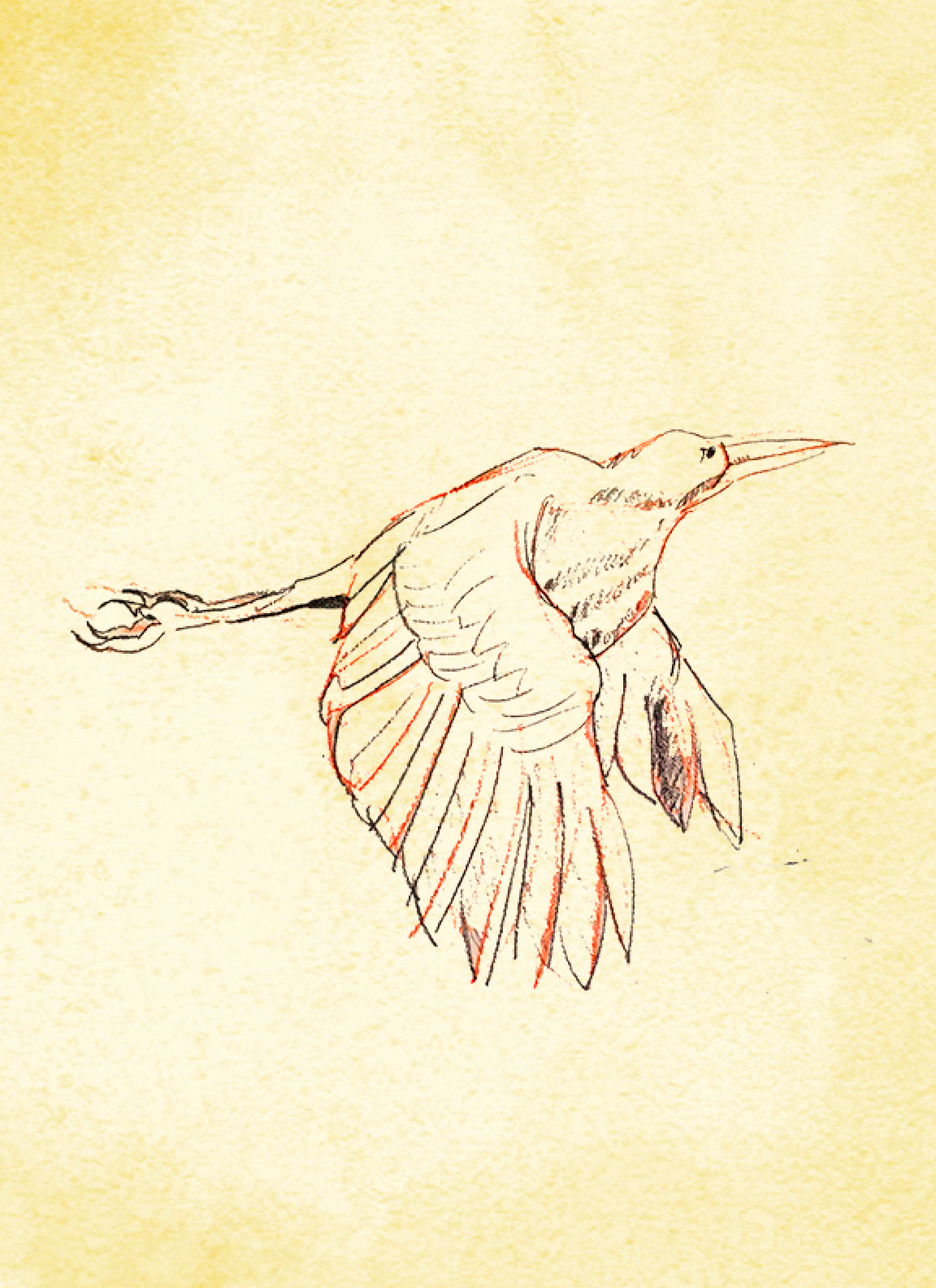 Journal Back Cover