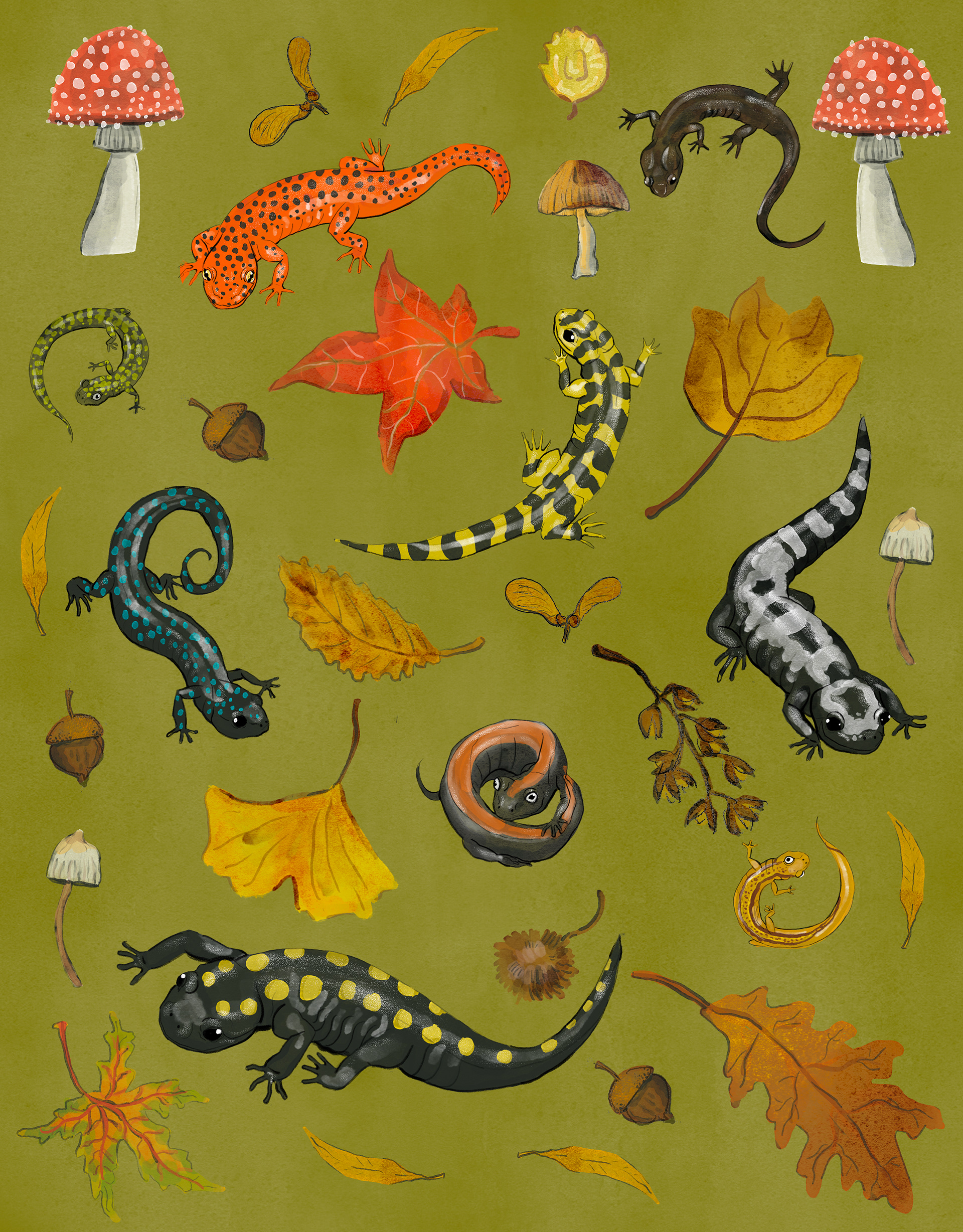 Sally Sock Pattern: Autumn