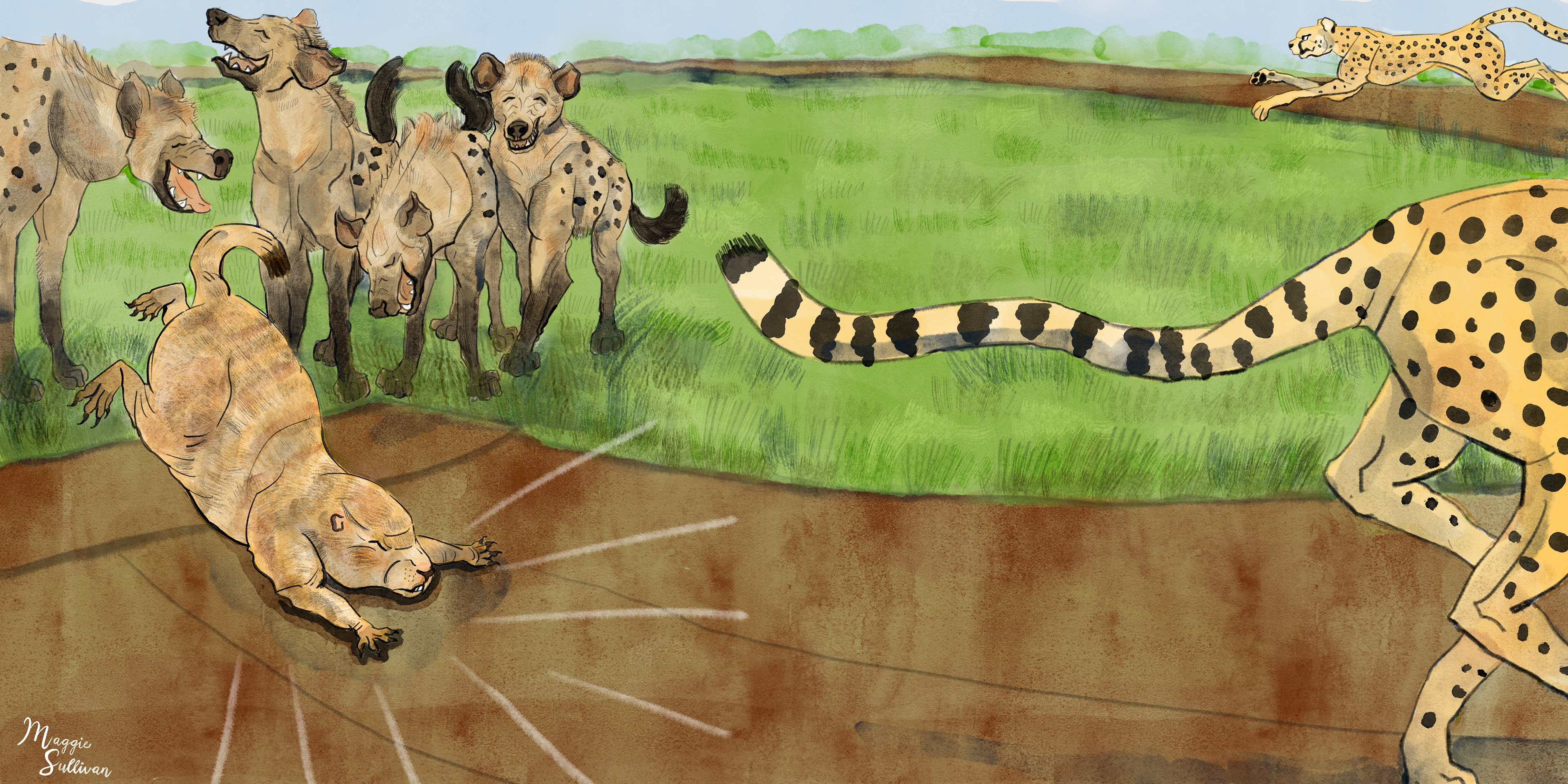 Sample spread, composition and color concept for Petey the Prairie Dog