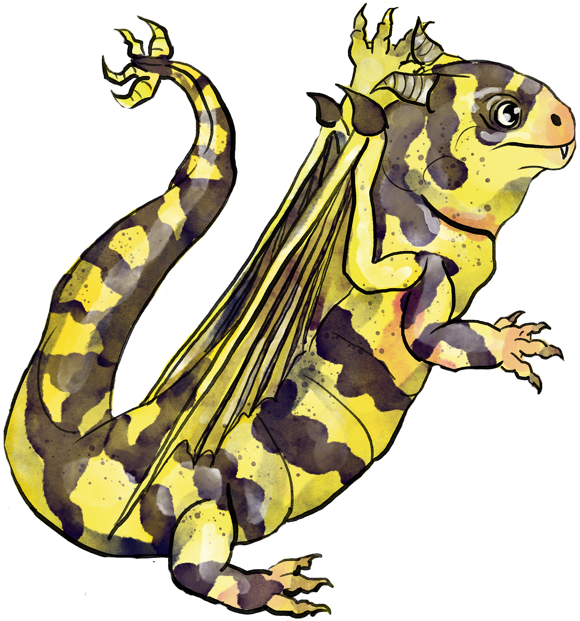 Tiger Dragomander