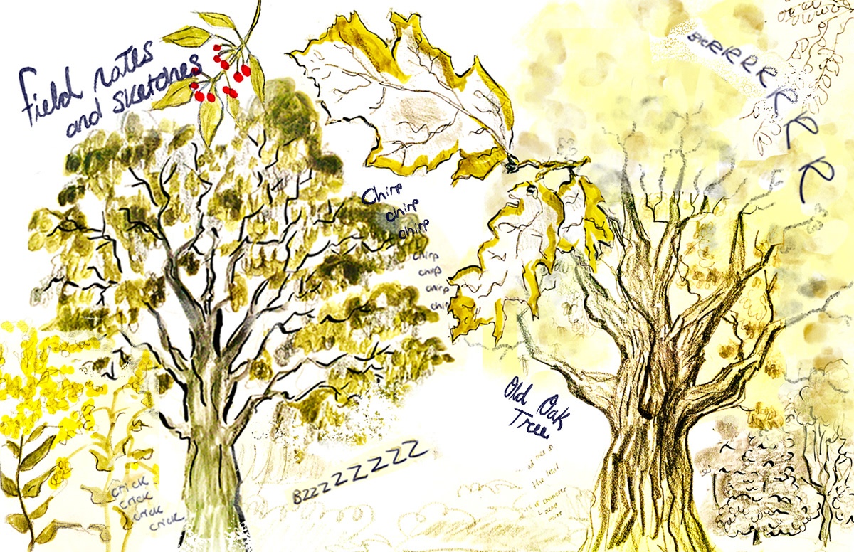 Field note Sketchbook Spread 2