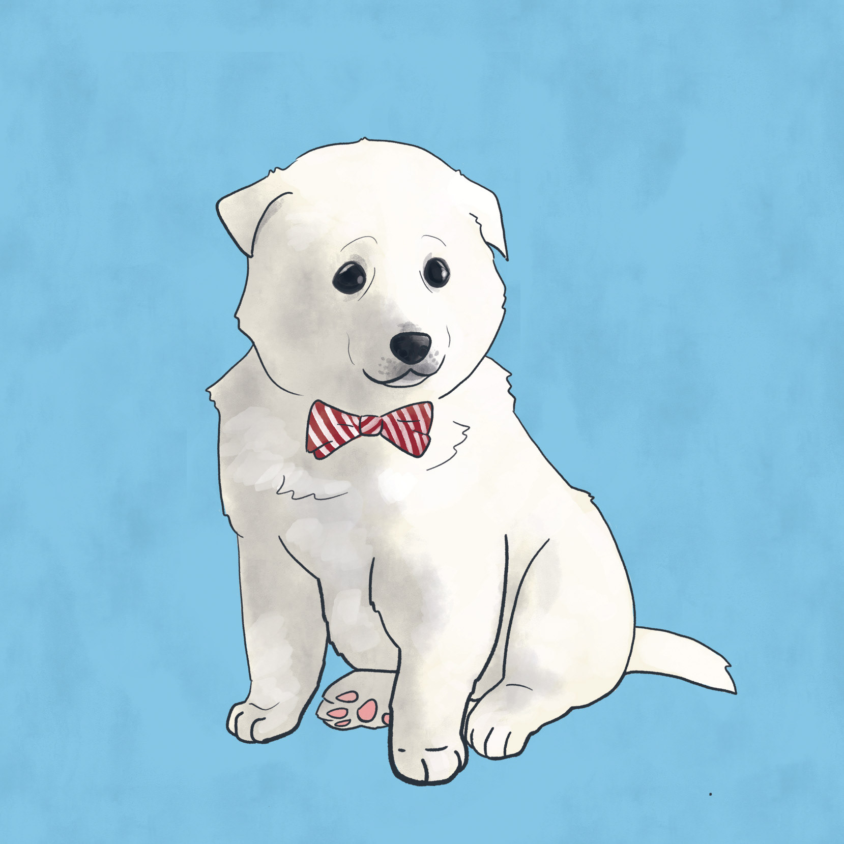 Jindo Puppy