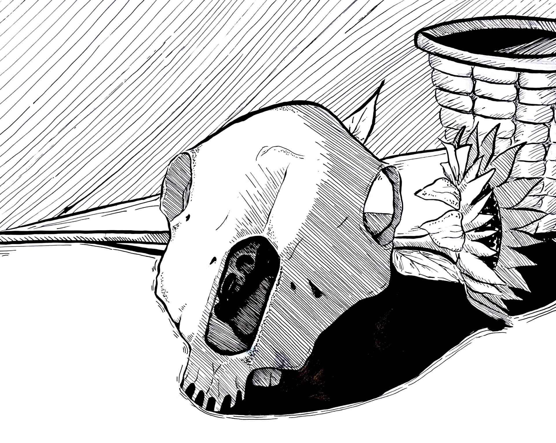 Skull Still Life, Ink on Paper