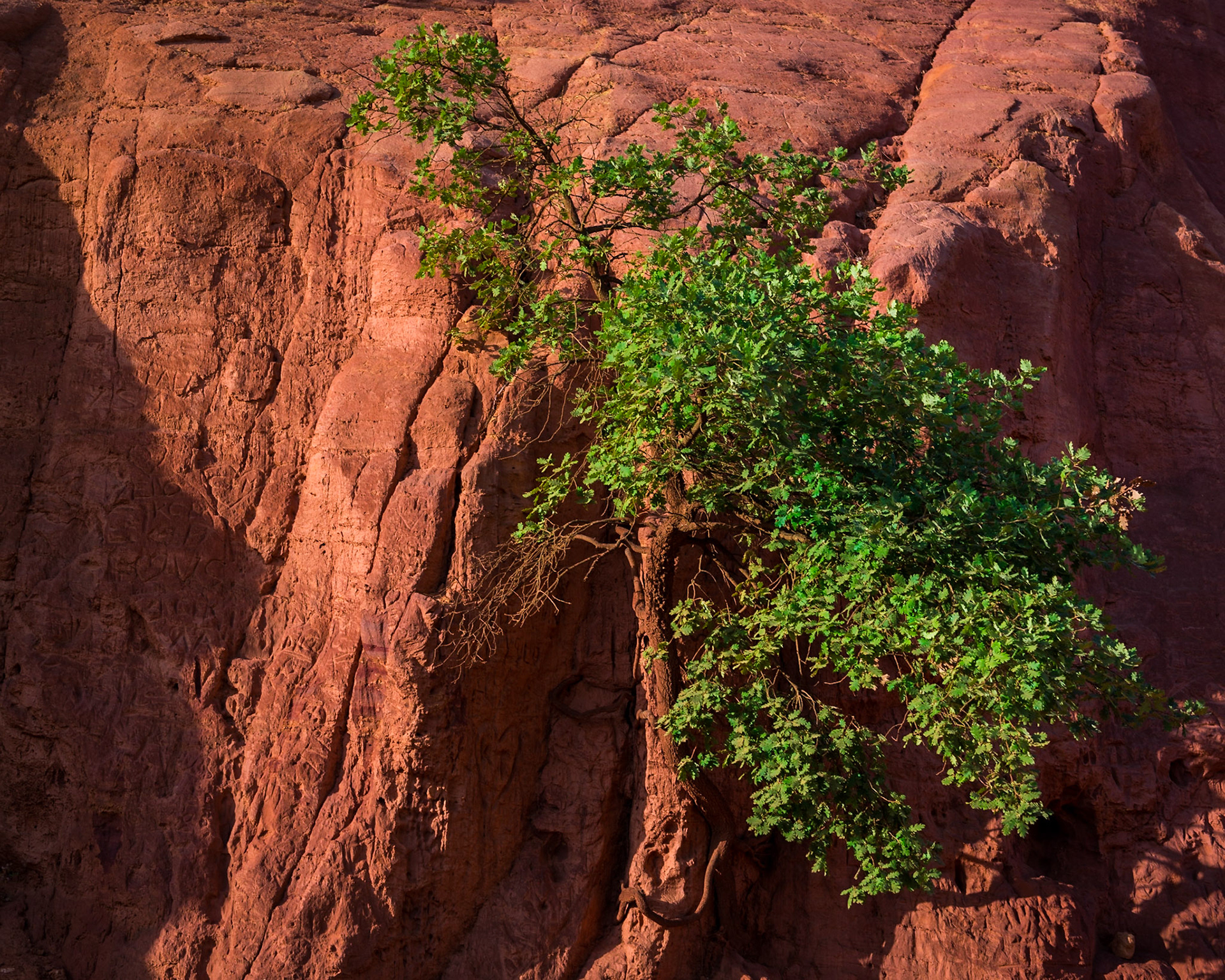 Perseverance - France, July 2018