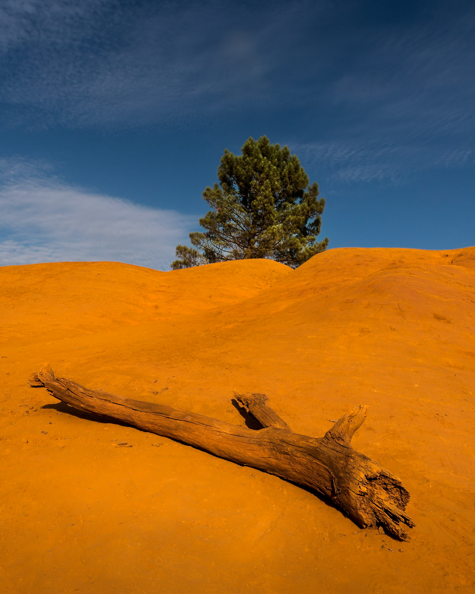 Brotherhood - France, July 2018