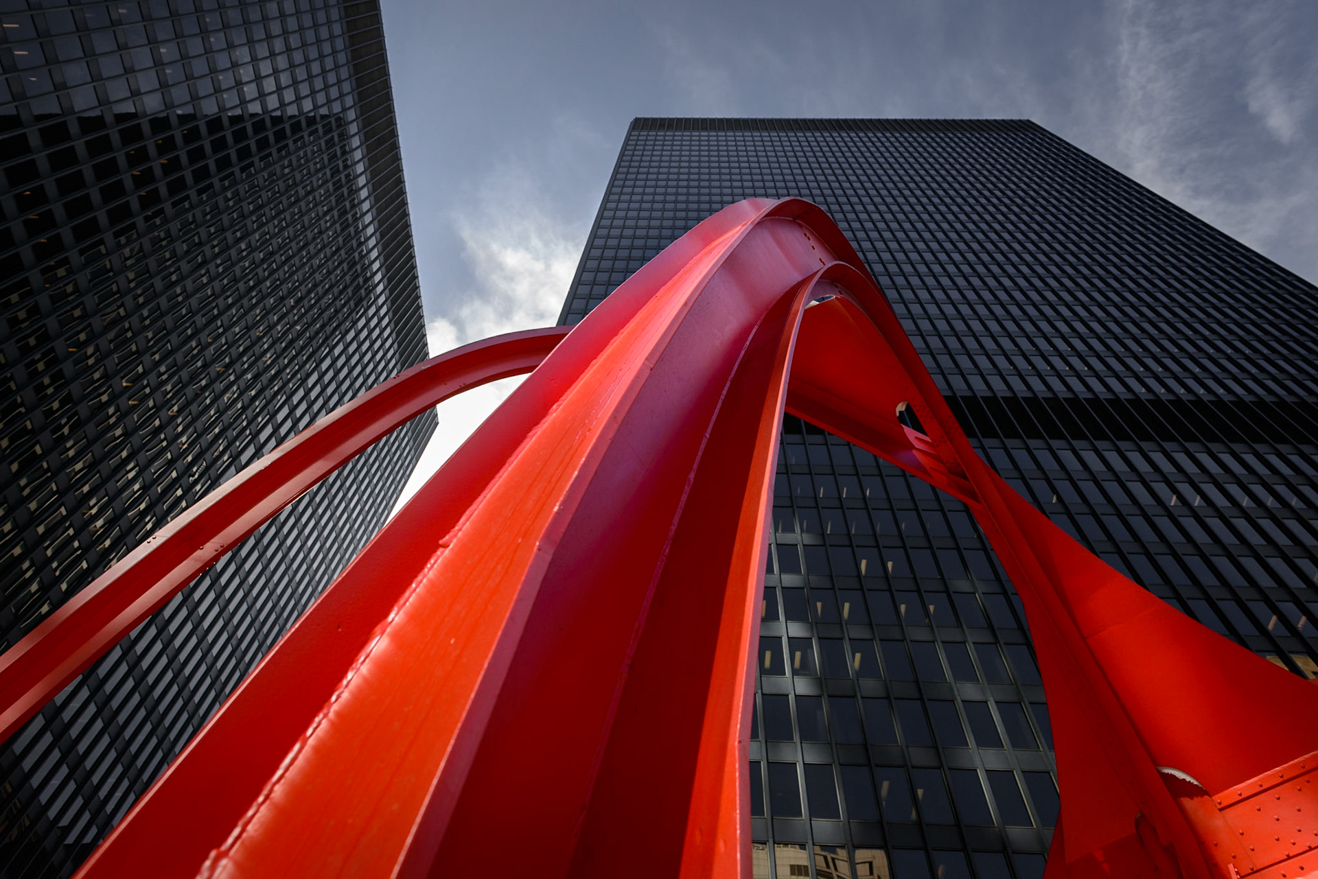 Flamingo's legs - Chicago, March 2015