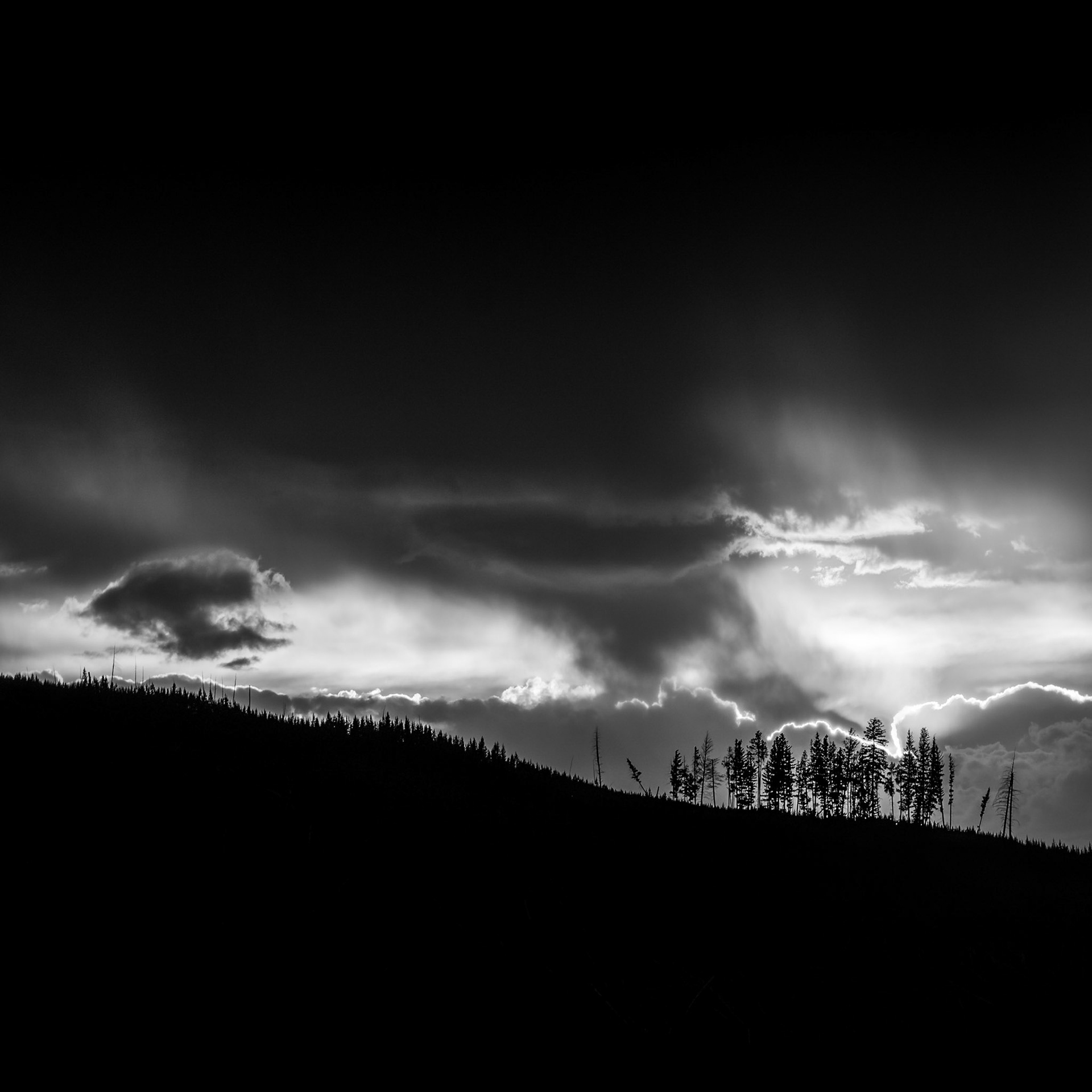 Madison Hill - Yellowstone, July 2017