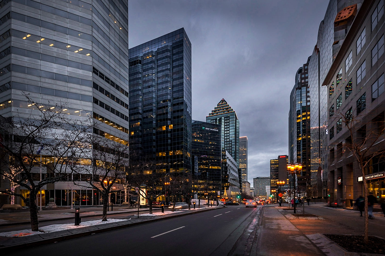 McGill College Ave
