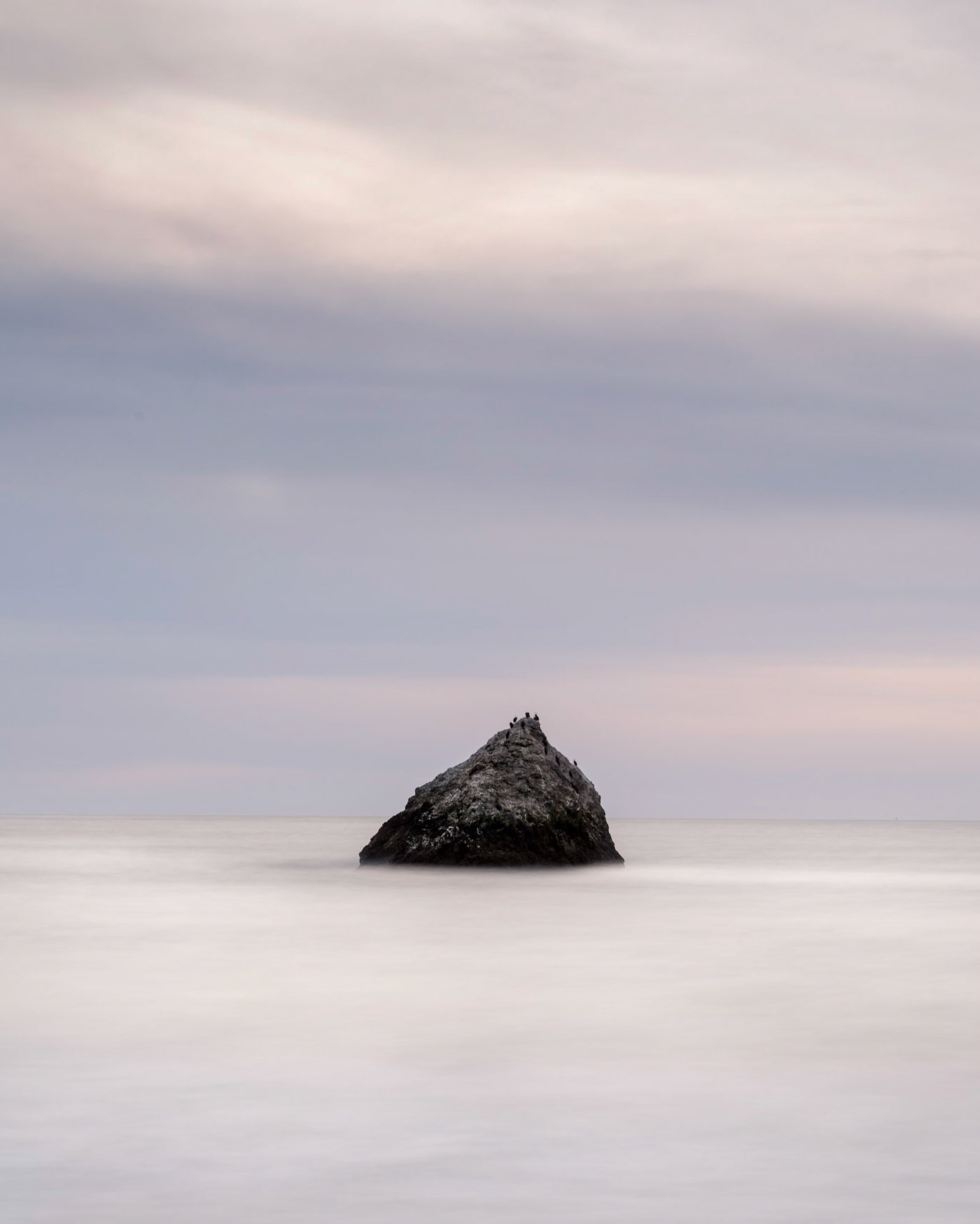 Serenity - California, March 2019 -