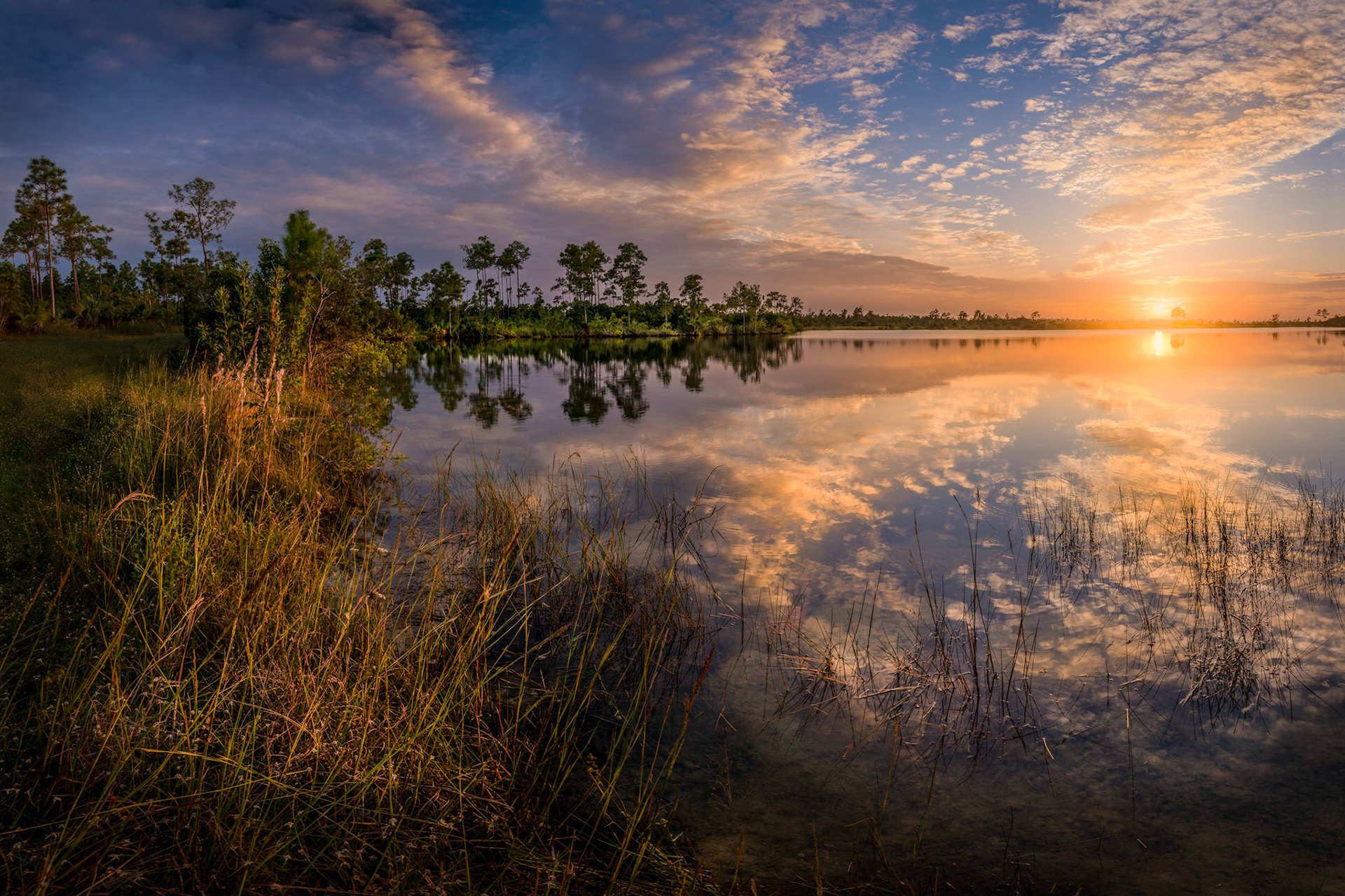 Pine Glades Lake Curves