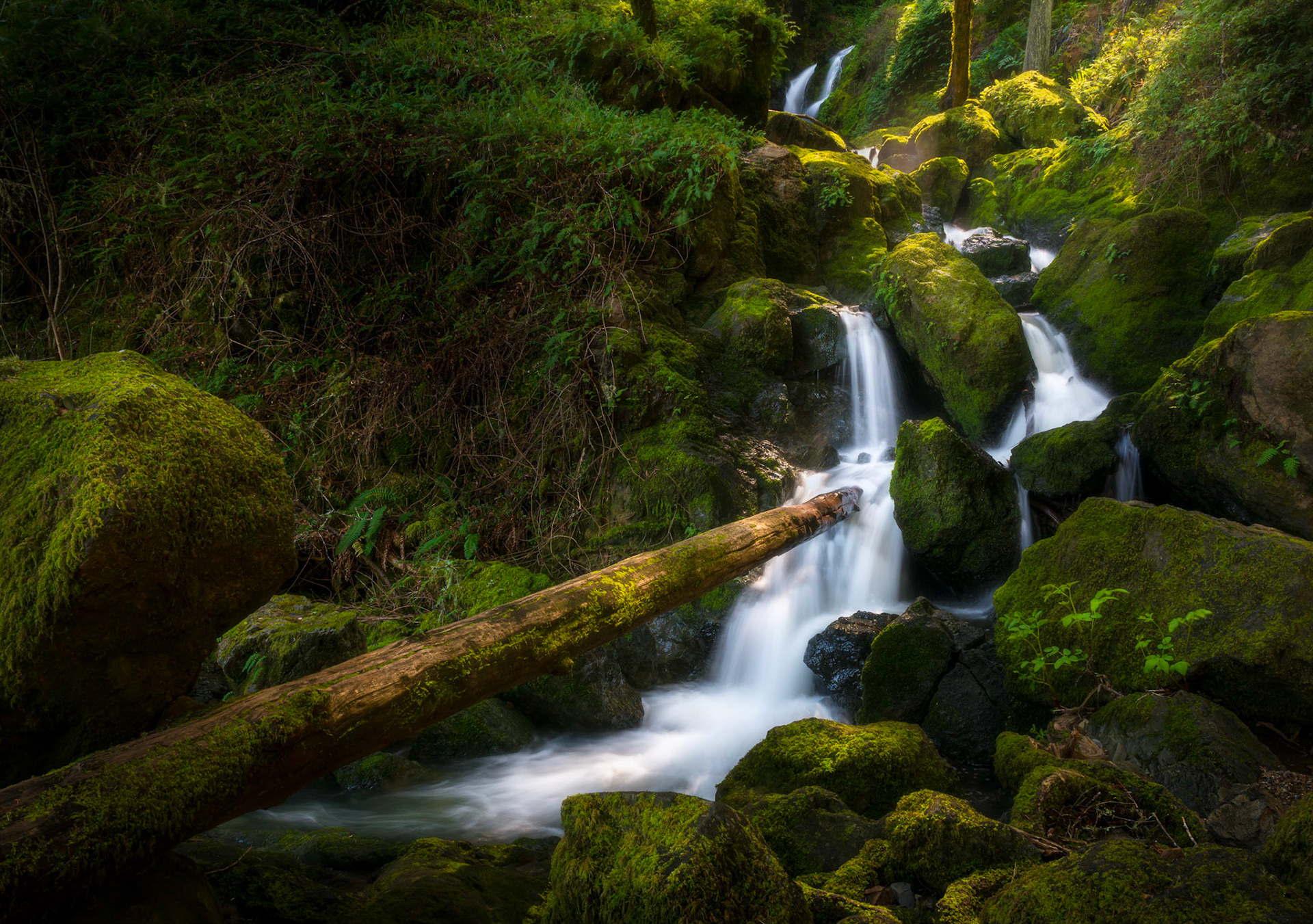 Cataract Falls - California, March 2019