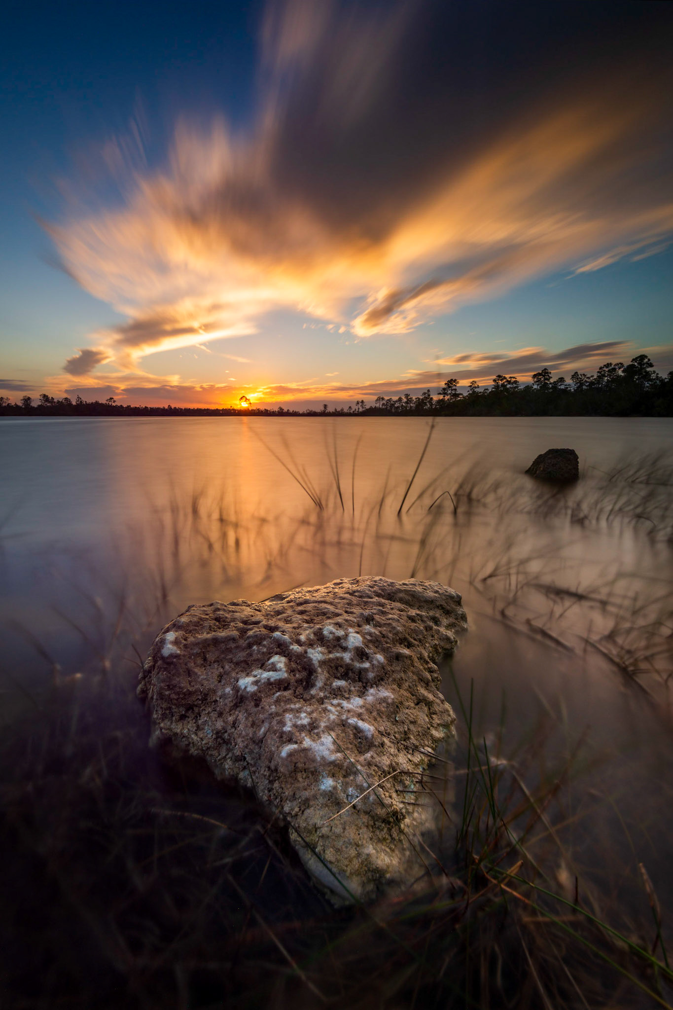 No Gator on Pine Glade Lake - Florida, February 2019