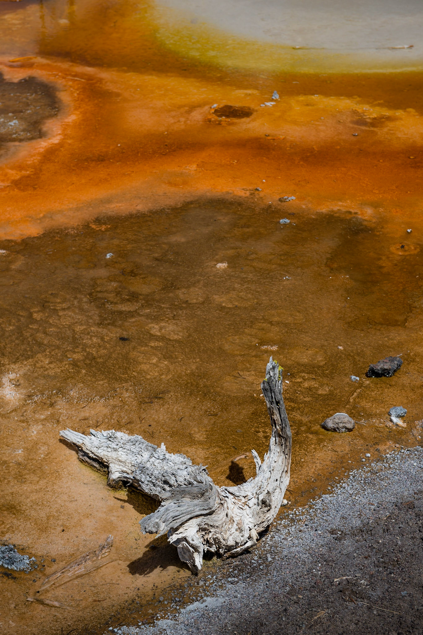 Yellowstone, USA, July 2017