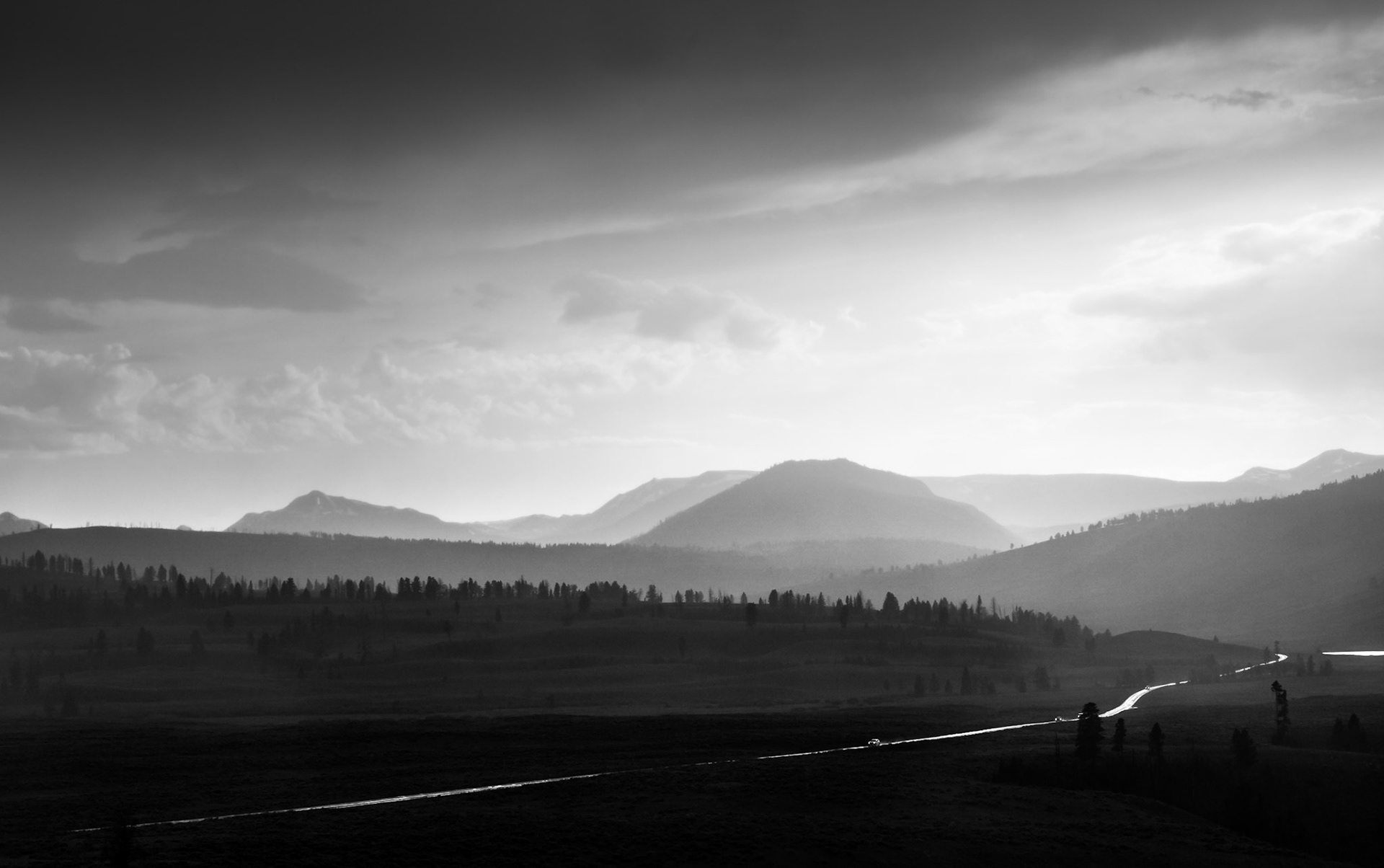 Coming from the Rain - Yellowstone, July 2017