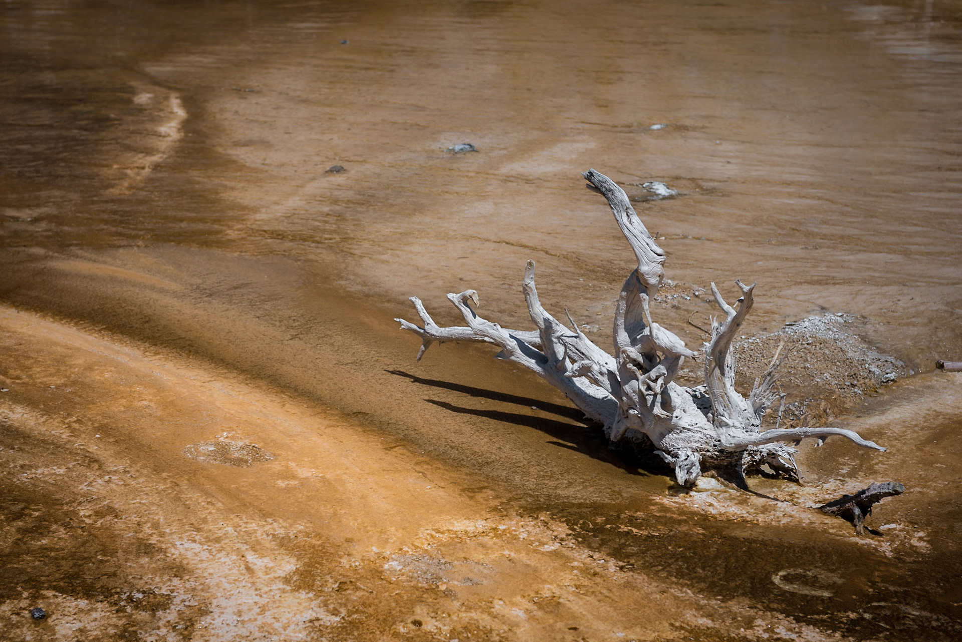 Yellowstone, USA, July 2017