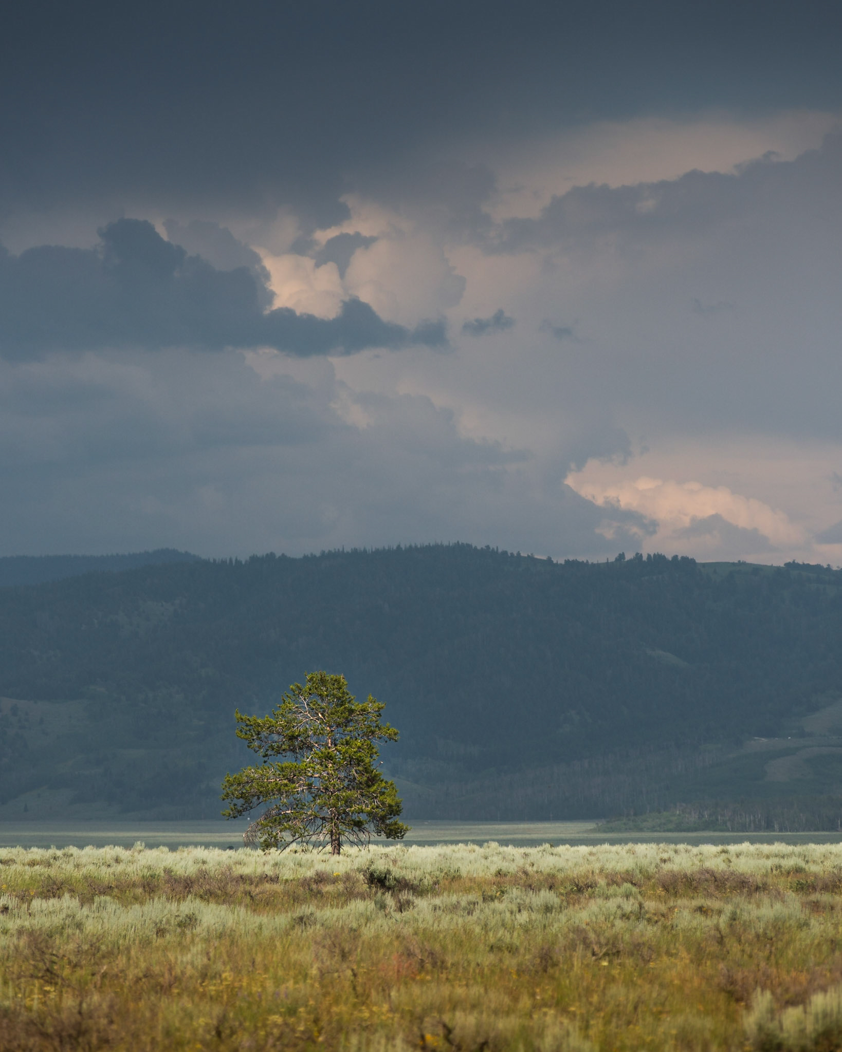 Solitude, Grand Teton National Park, Wyoming, July 2017