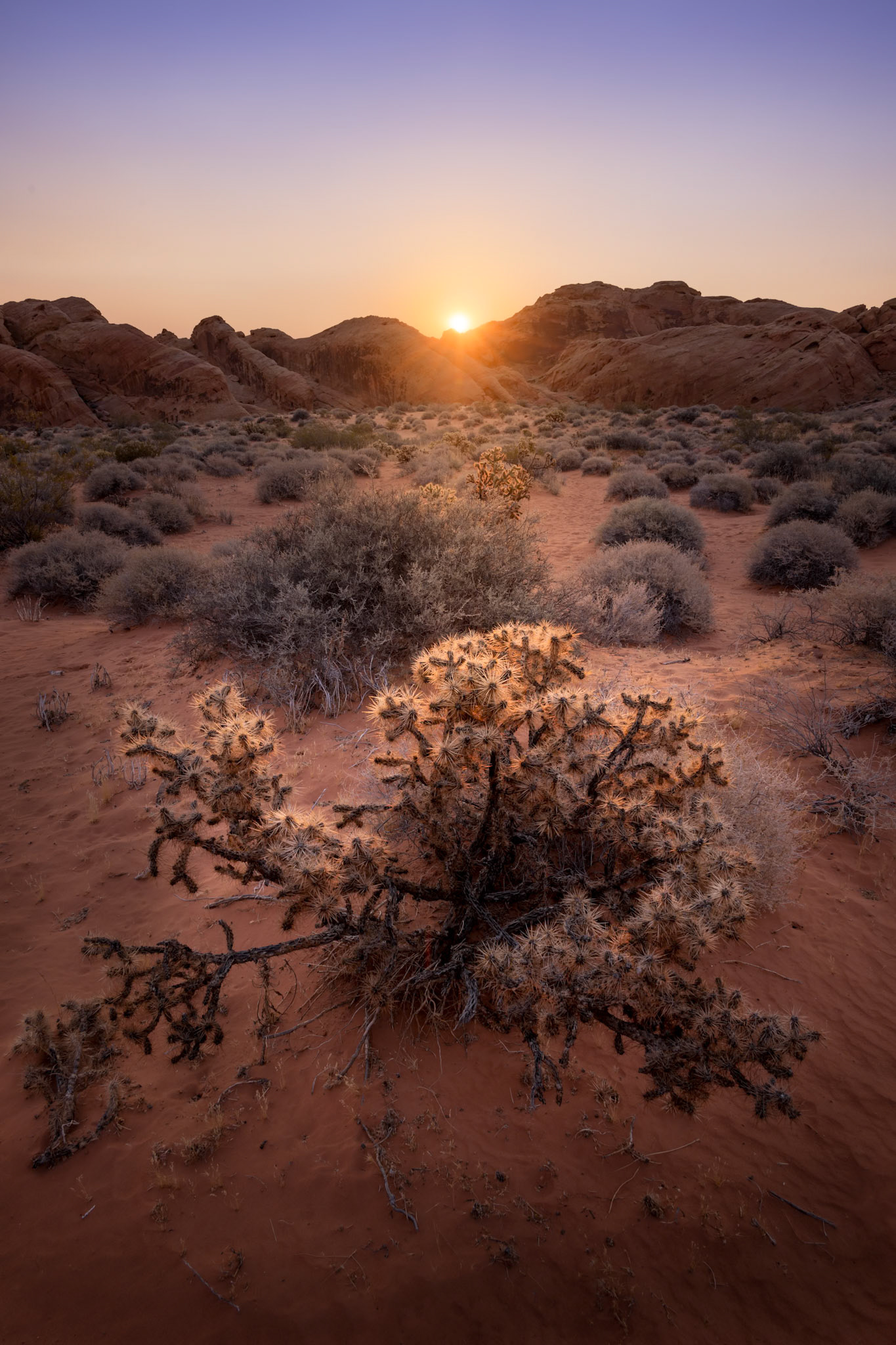 Rainbow Vista Sunrise