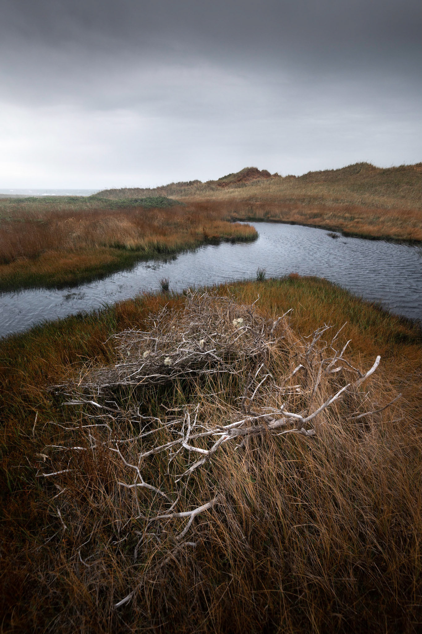 Grande Entrée Hillock