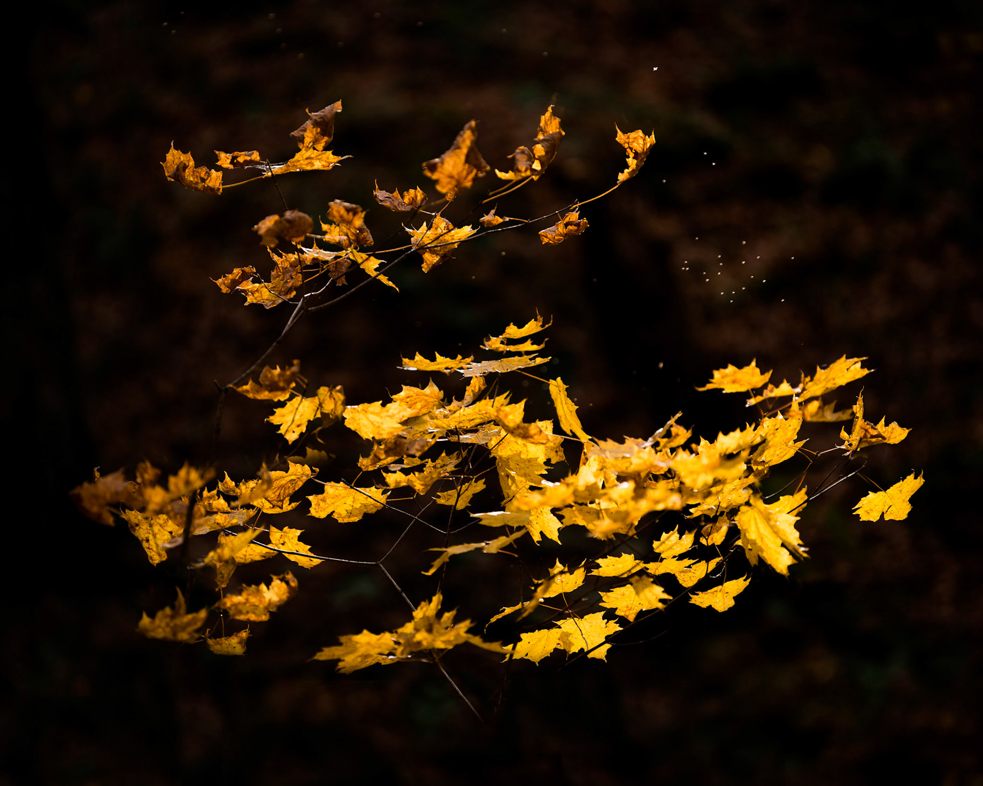 Quebec, October 2017