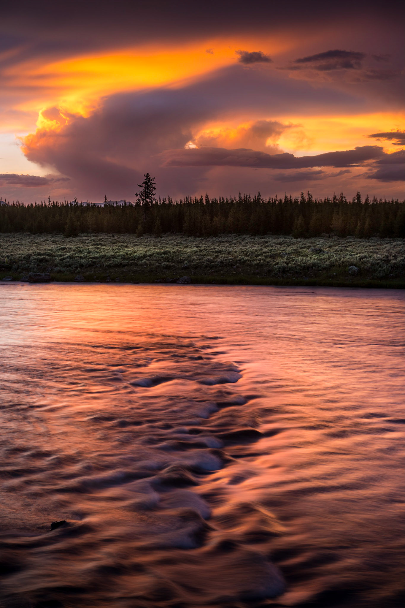 Red Madison, Yellowstone, USA, July 2017