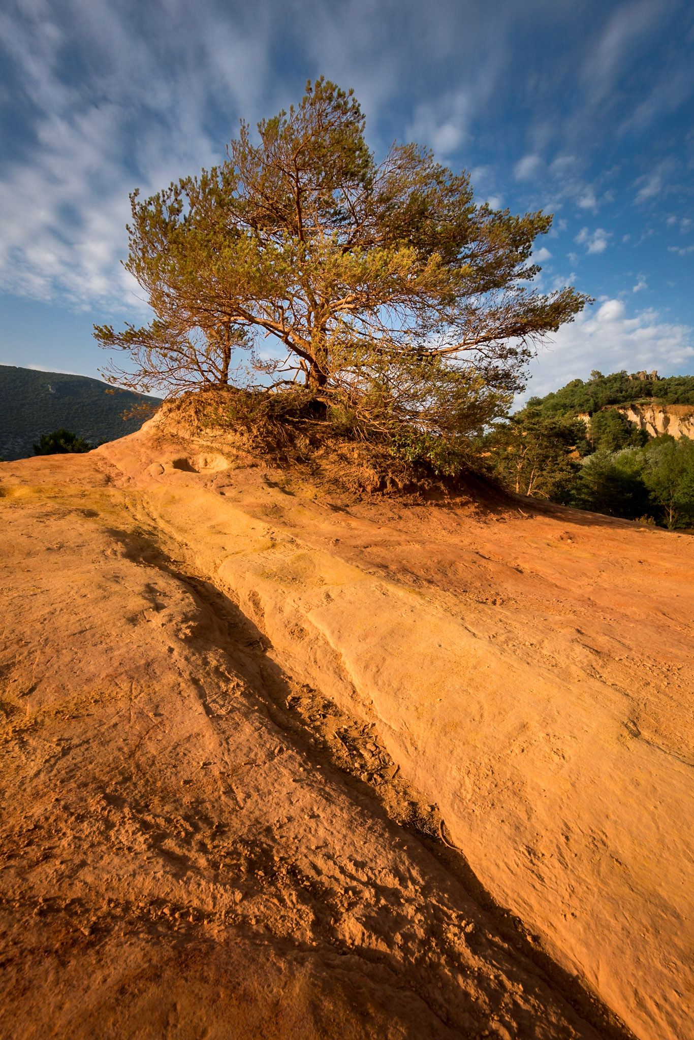 Stature - France, July 2018