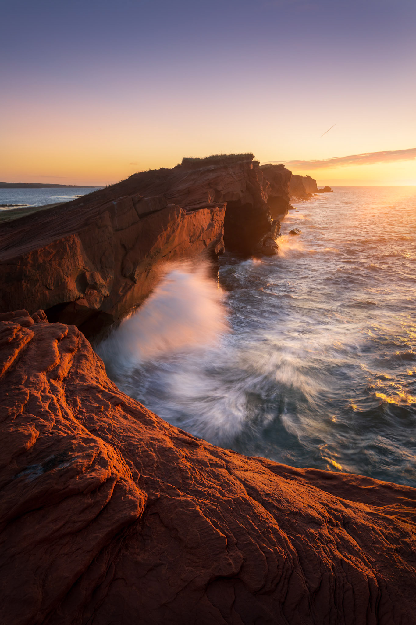 The mouth of the shark