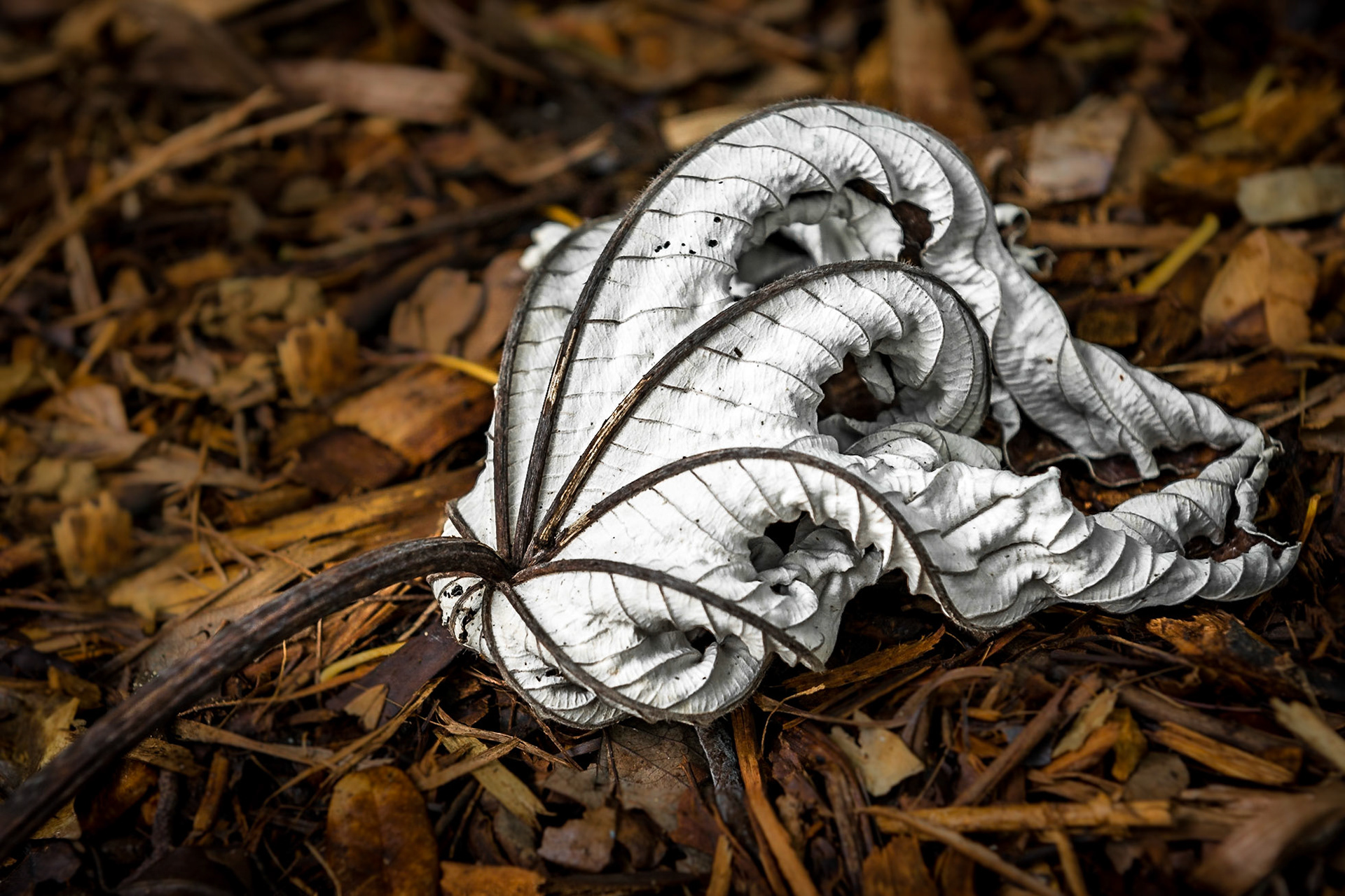 Florida, USA, September 2014