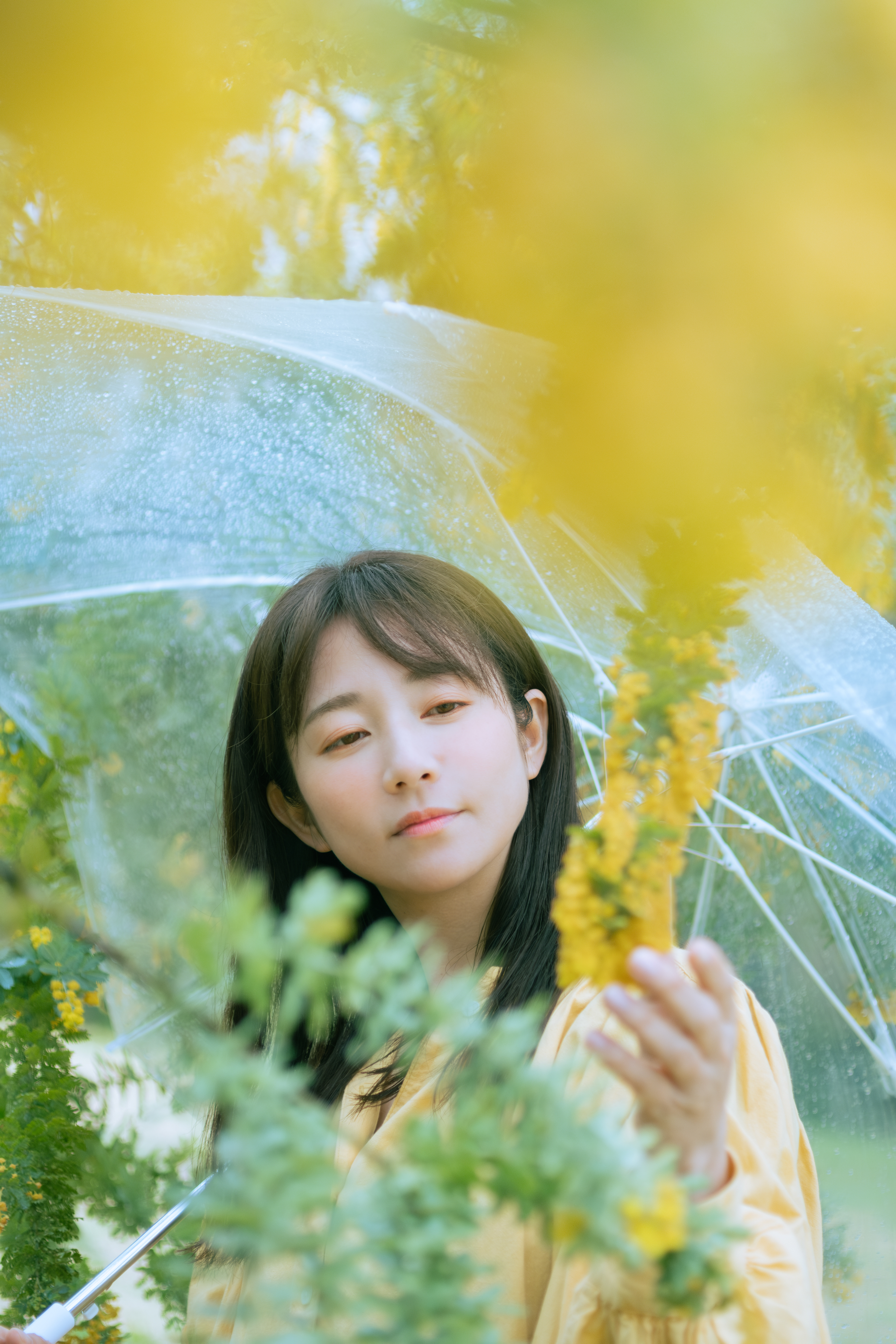 木村文乃さん