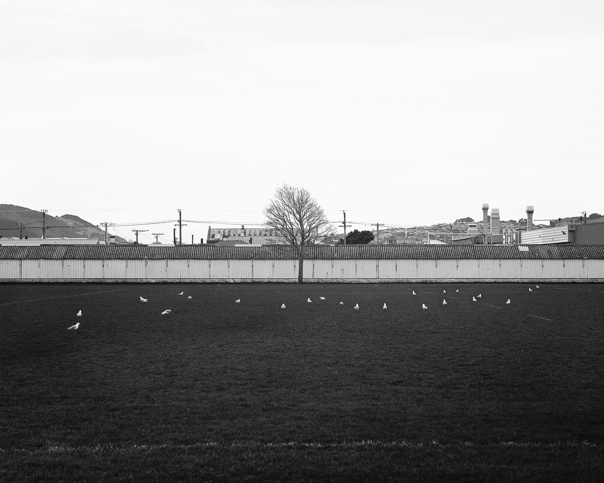 'Bathgate Park'