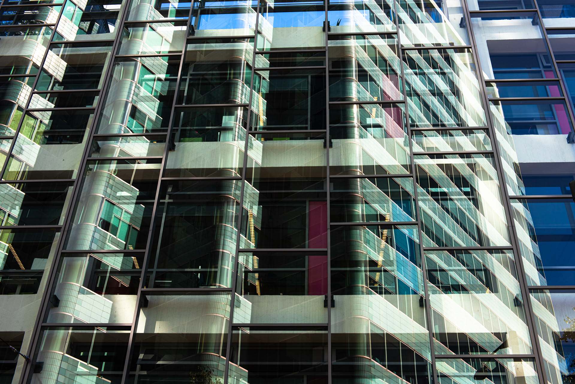 Reflections in Conservation House