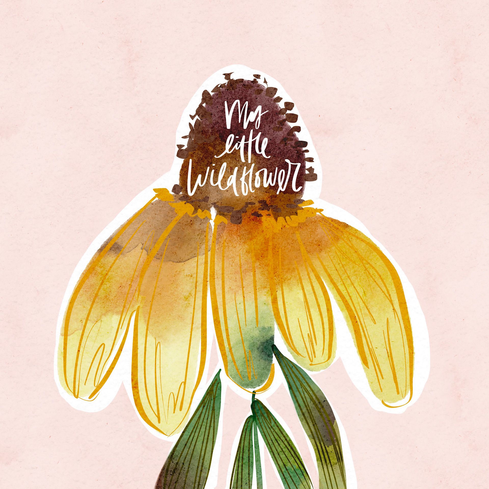 Little Wildflower