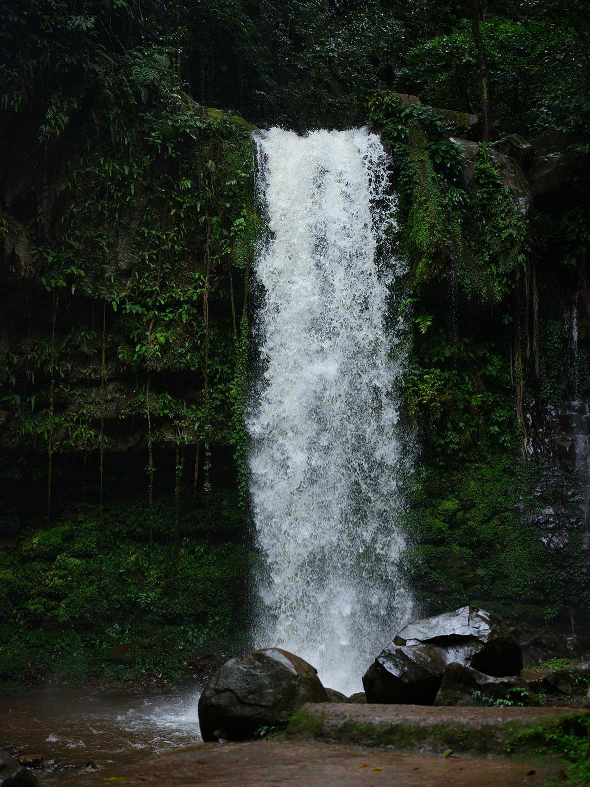 Mahua Waterfalls - Crocker Range Park