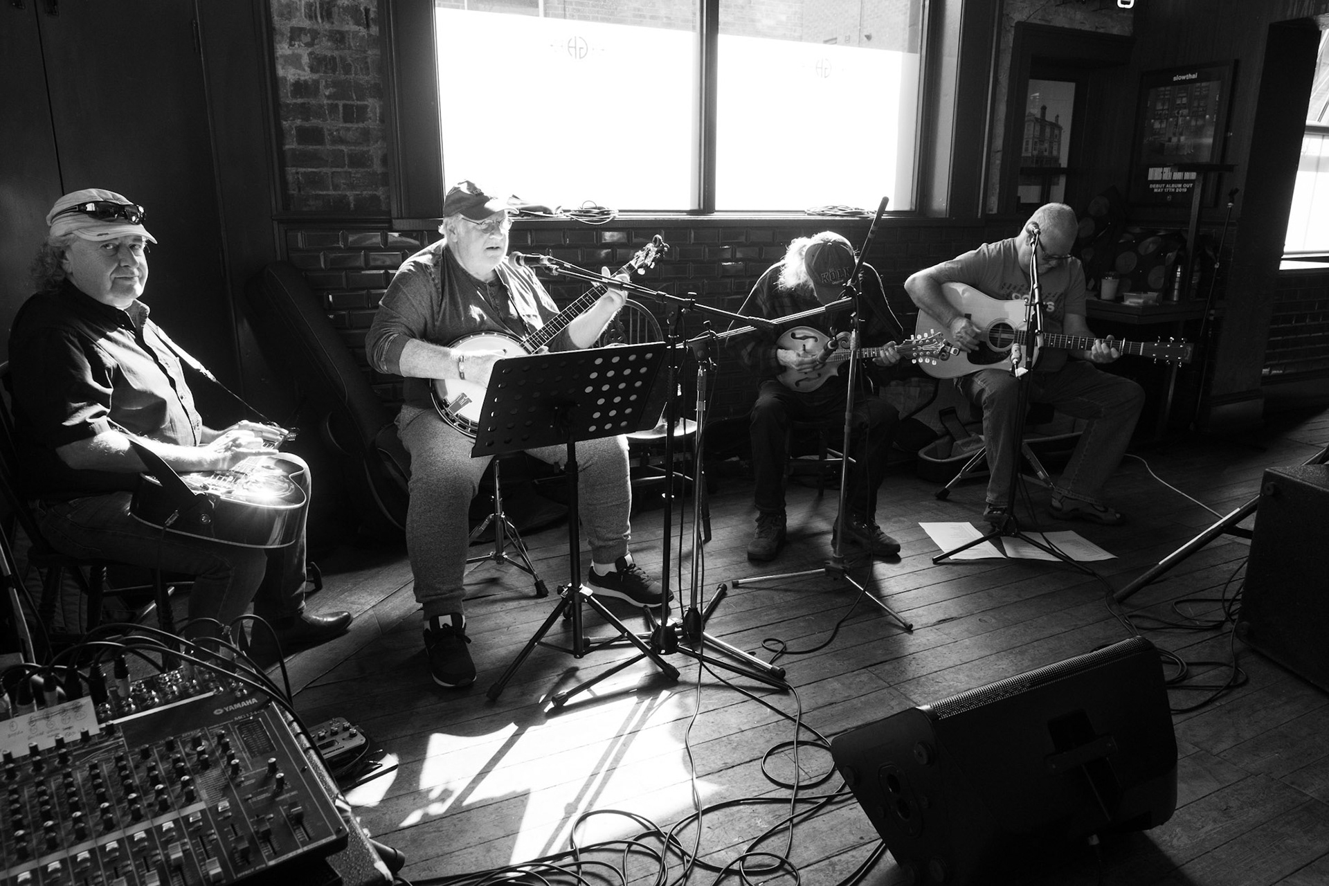 The Old Grey Dogs