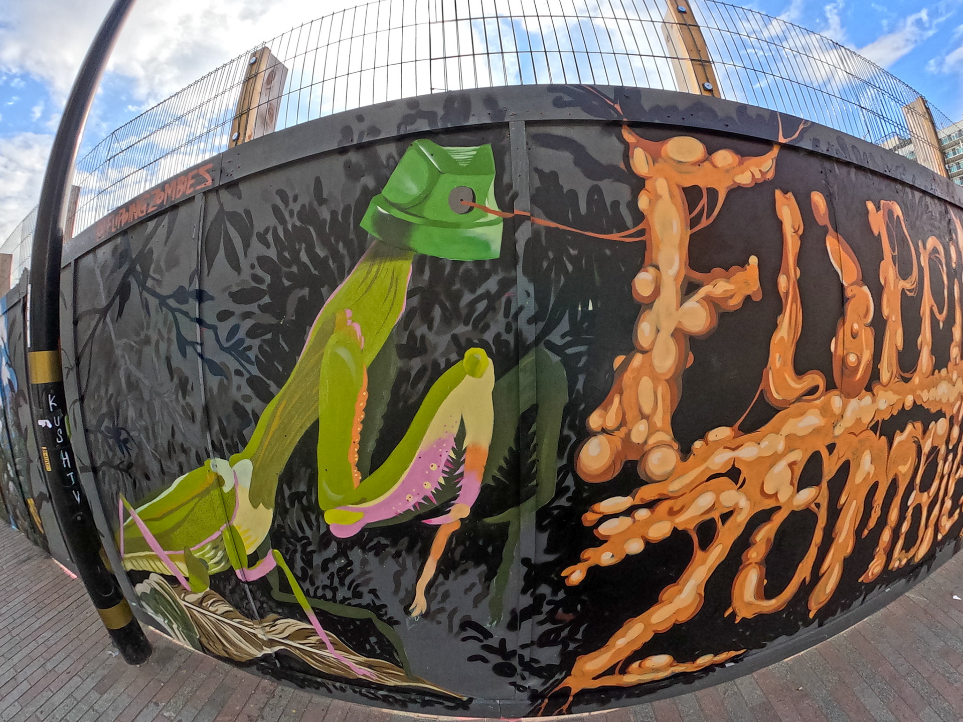 DCIM\100GOPRO\GP010477.JPG