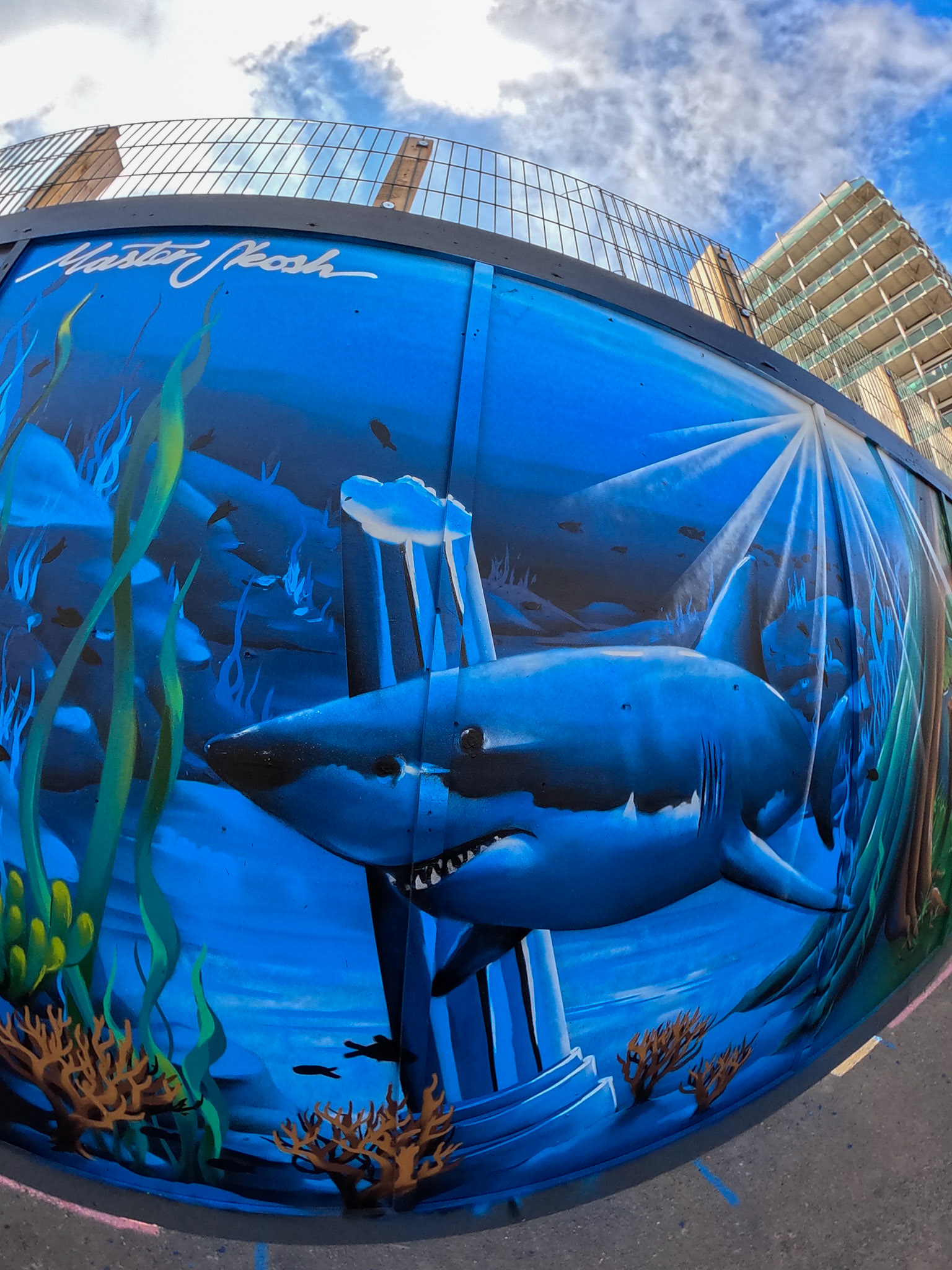 DCIM\100GOPRO\GP010498.JPG