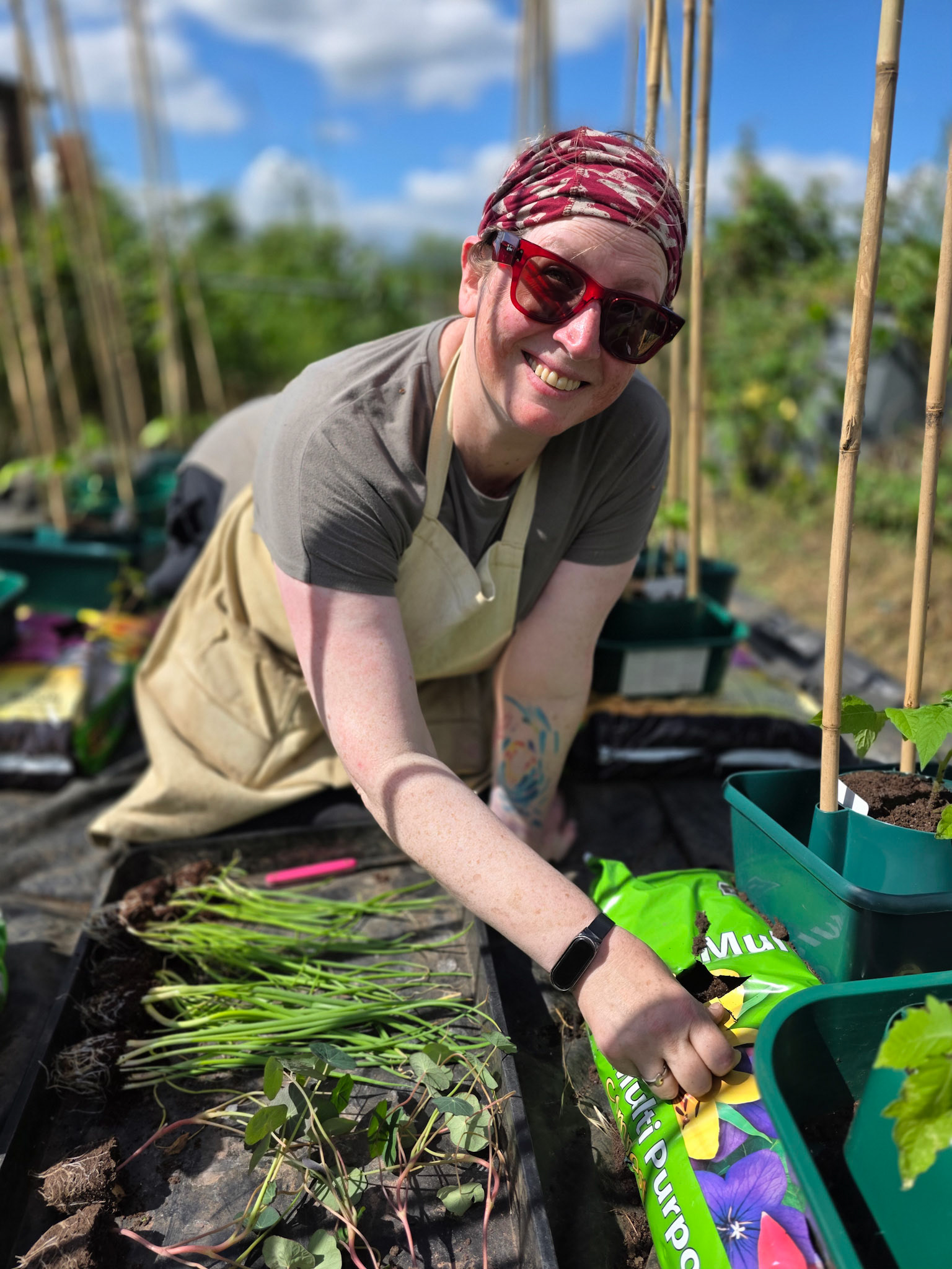 The allotment 18 month on